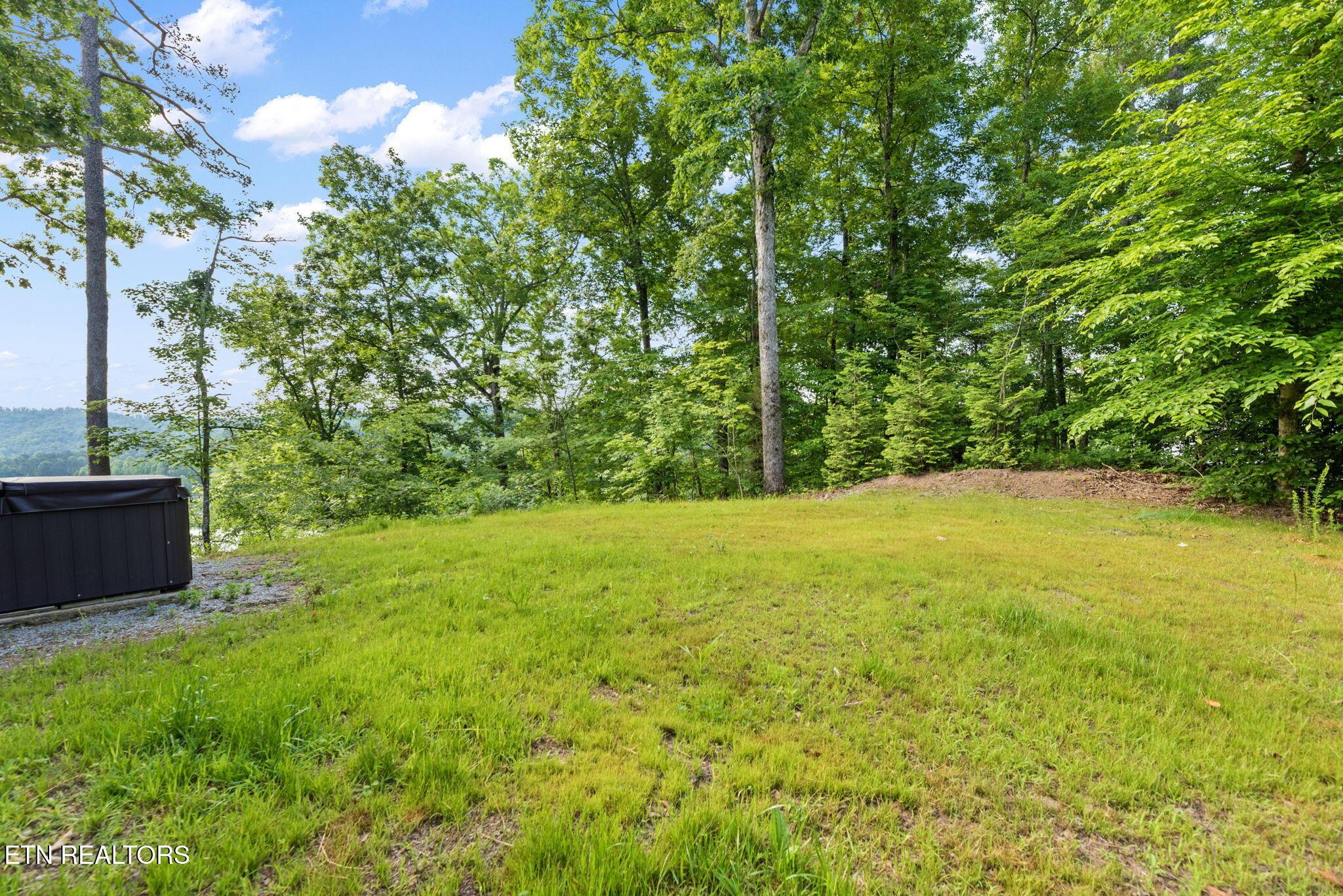 Norris Lake Real Estate - Image# 43