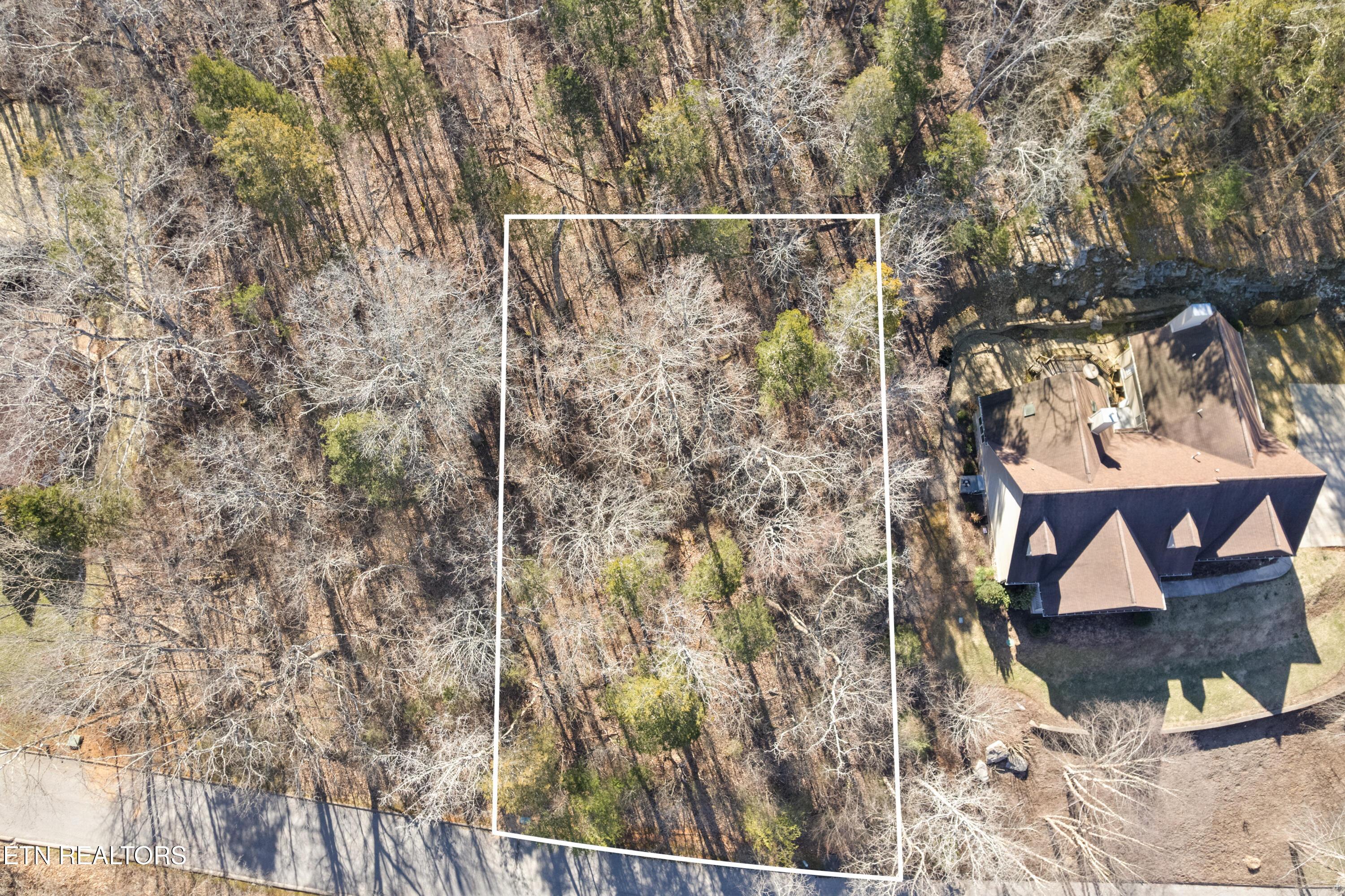 Norris Lake Real Estate - Image# 7