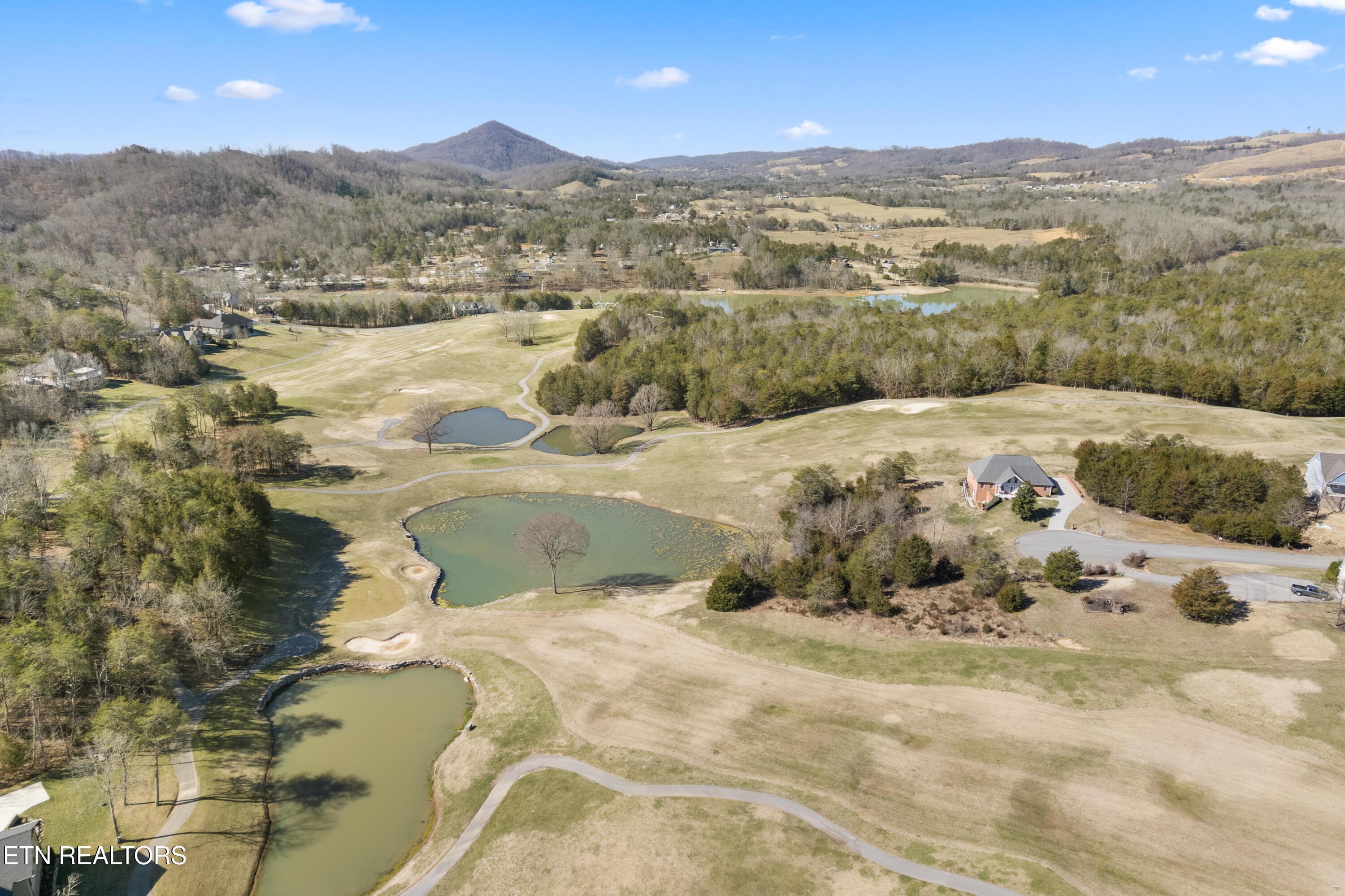 Norris Lake Real Estate - Image# 17