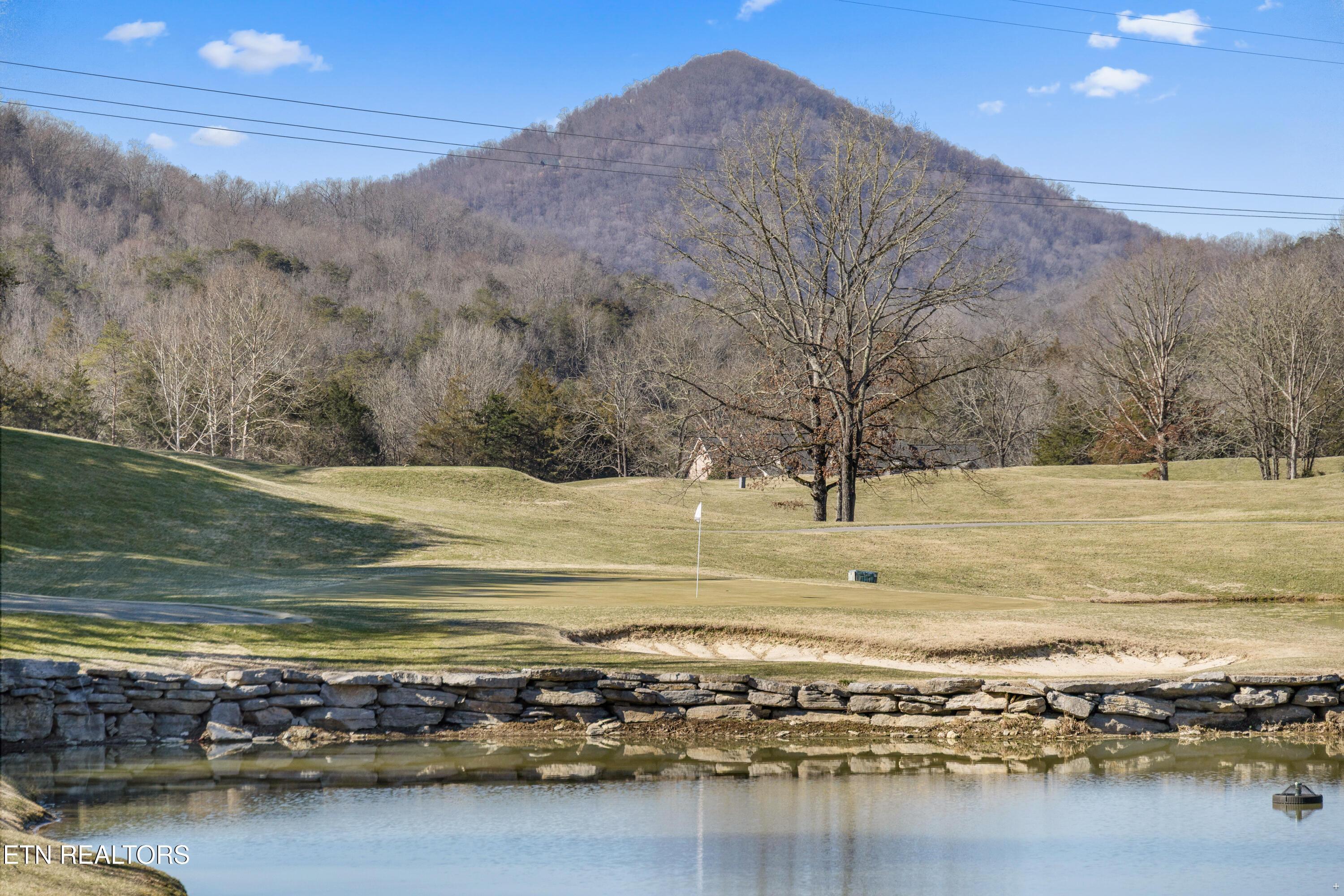 Norris Lake Real Estate - Image# 15