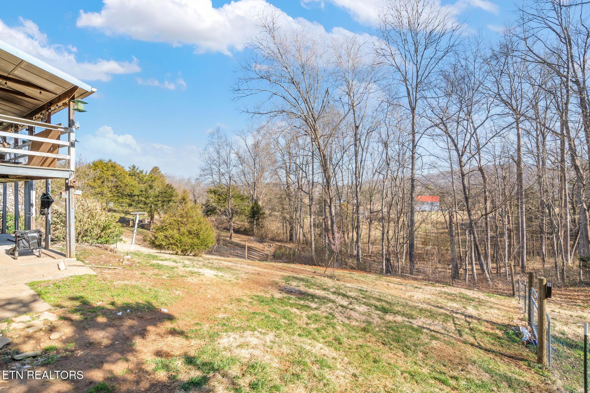 Norris Lake Real Estate - Image# 24