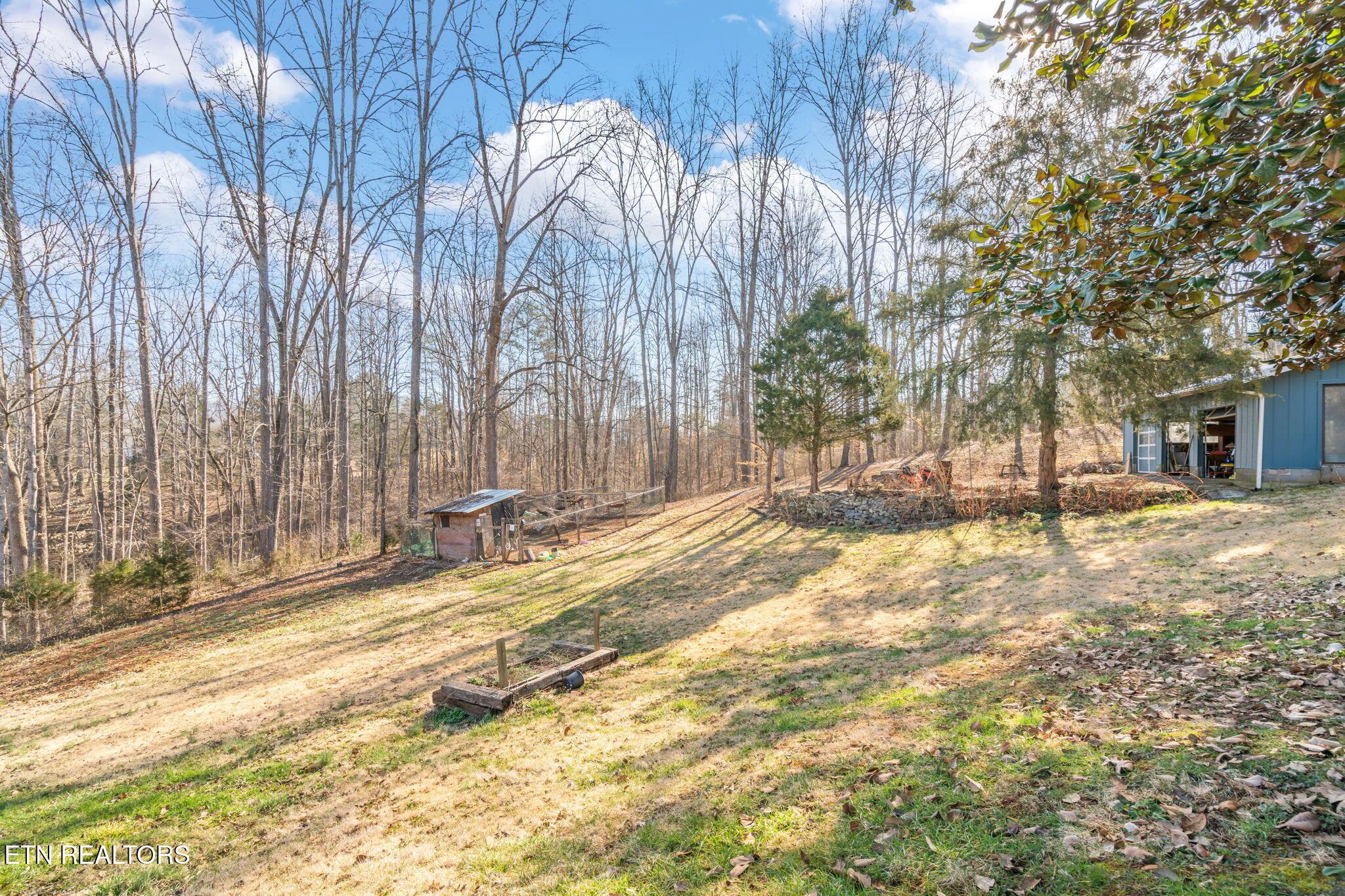 Norris Lake Real Estate - Image# 3