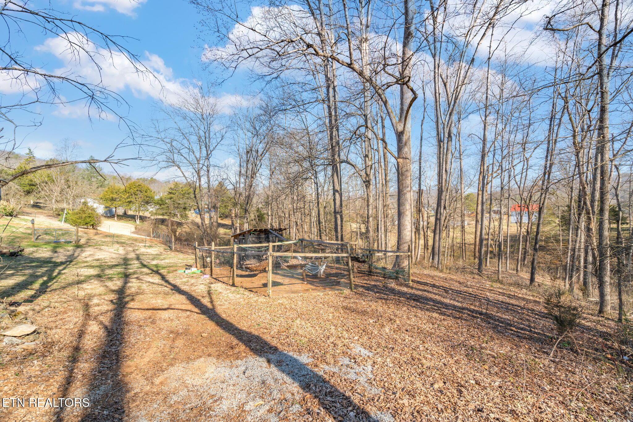 Norris Lake Real Estate - Image# 27