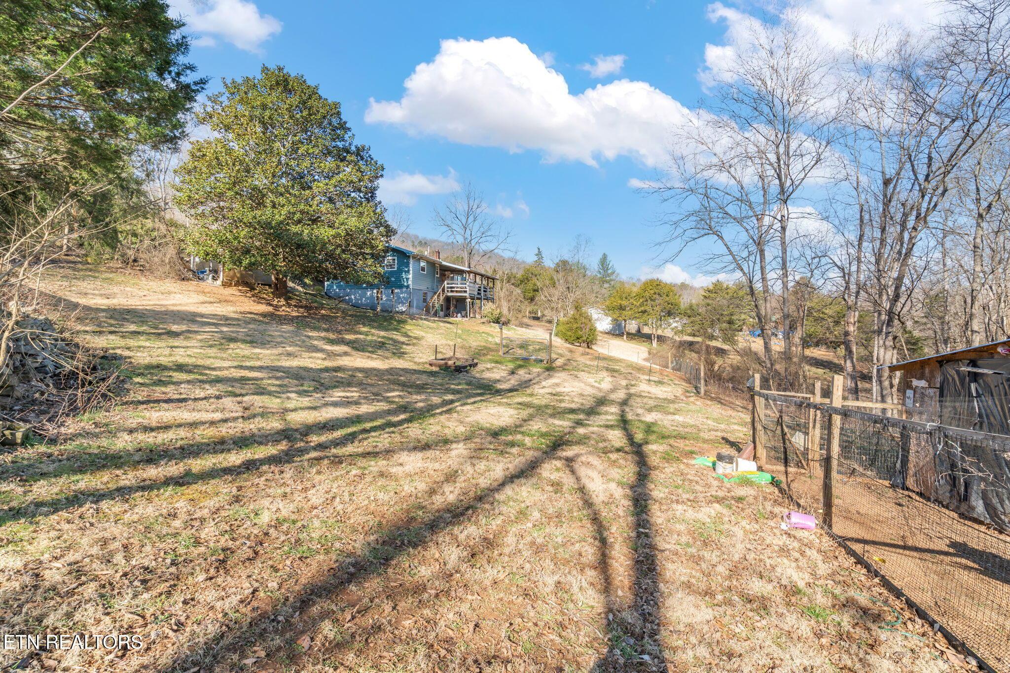 Norris Lake Real Estate - Image# 26