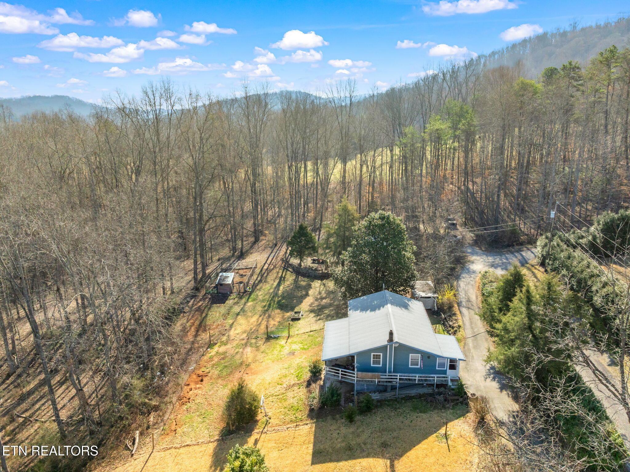 Norris Lake Real Estate - Image# 31