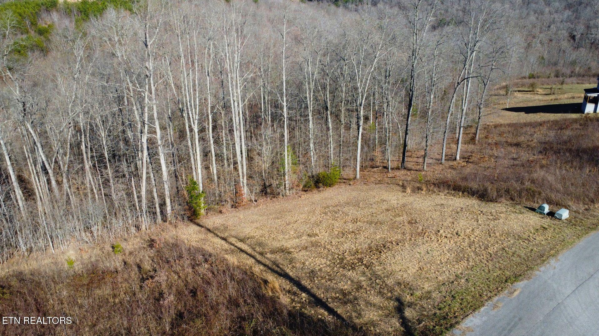 Norris Lake Real Estate - Image# 16