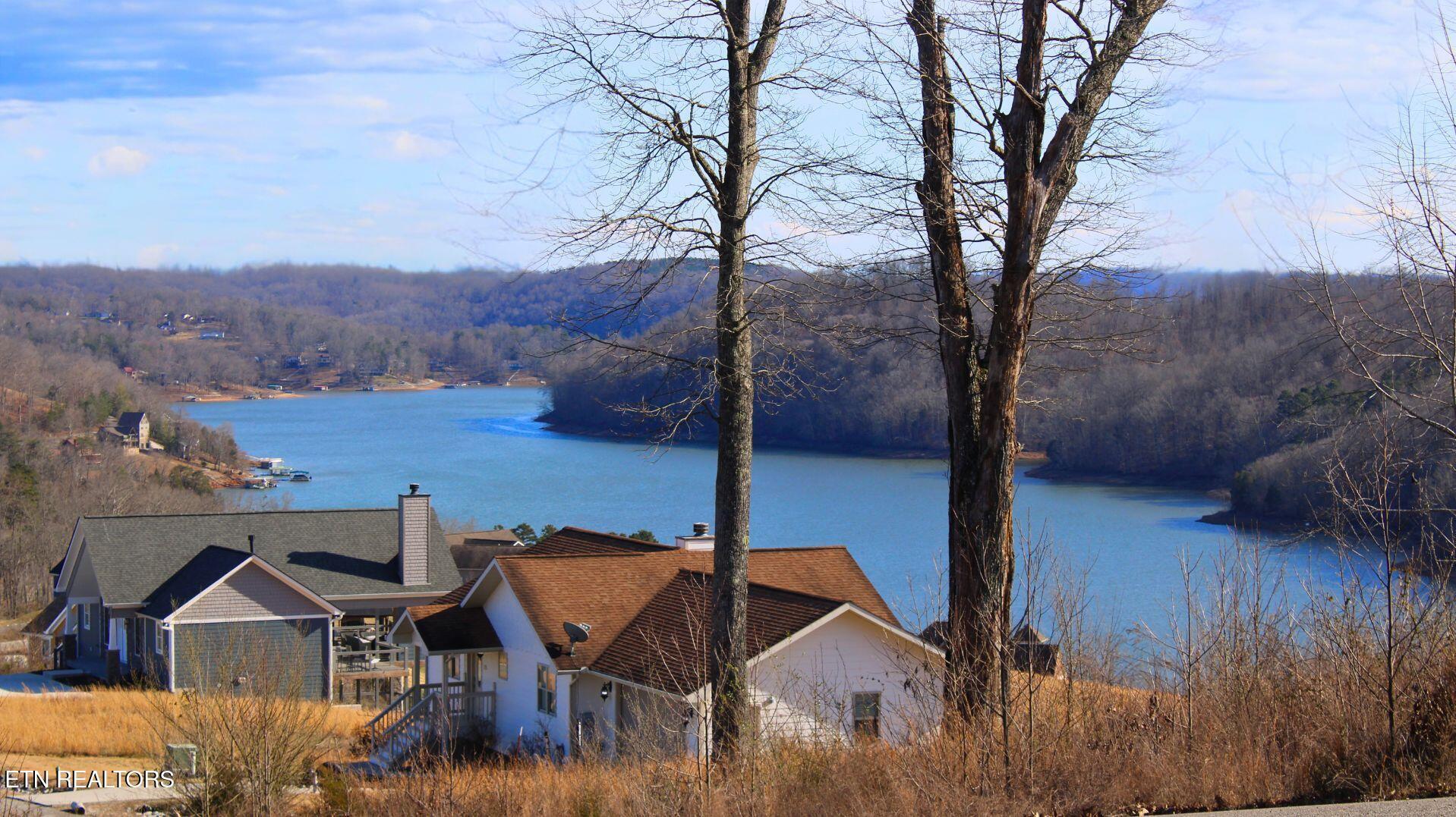 Norris Lake Real Estate - Image# 9