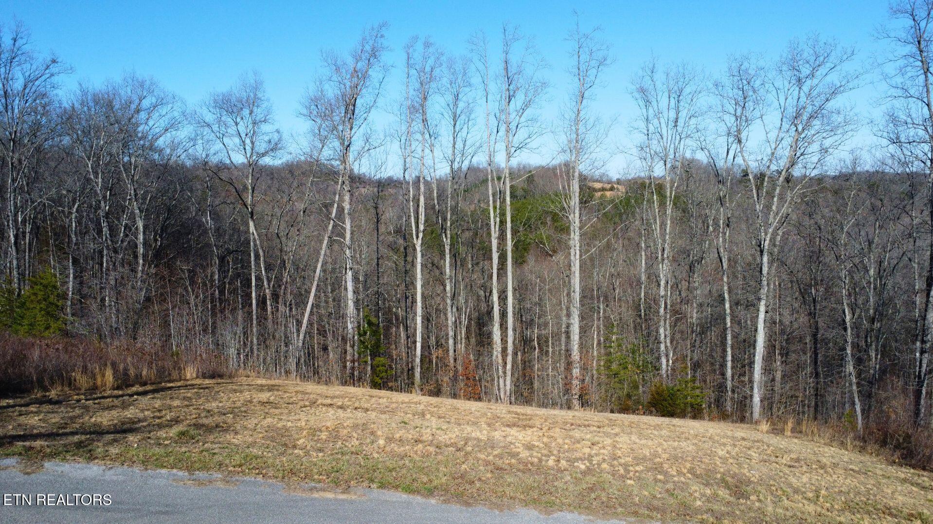 Norris Lake Real Estate - Image# 22