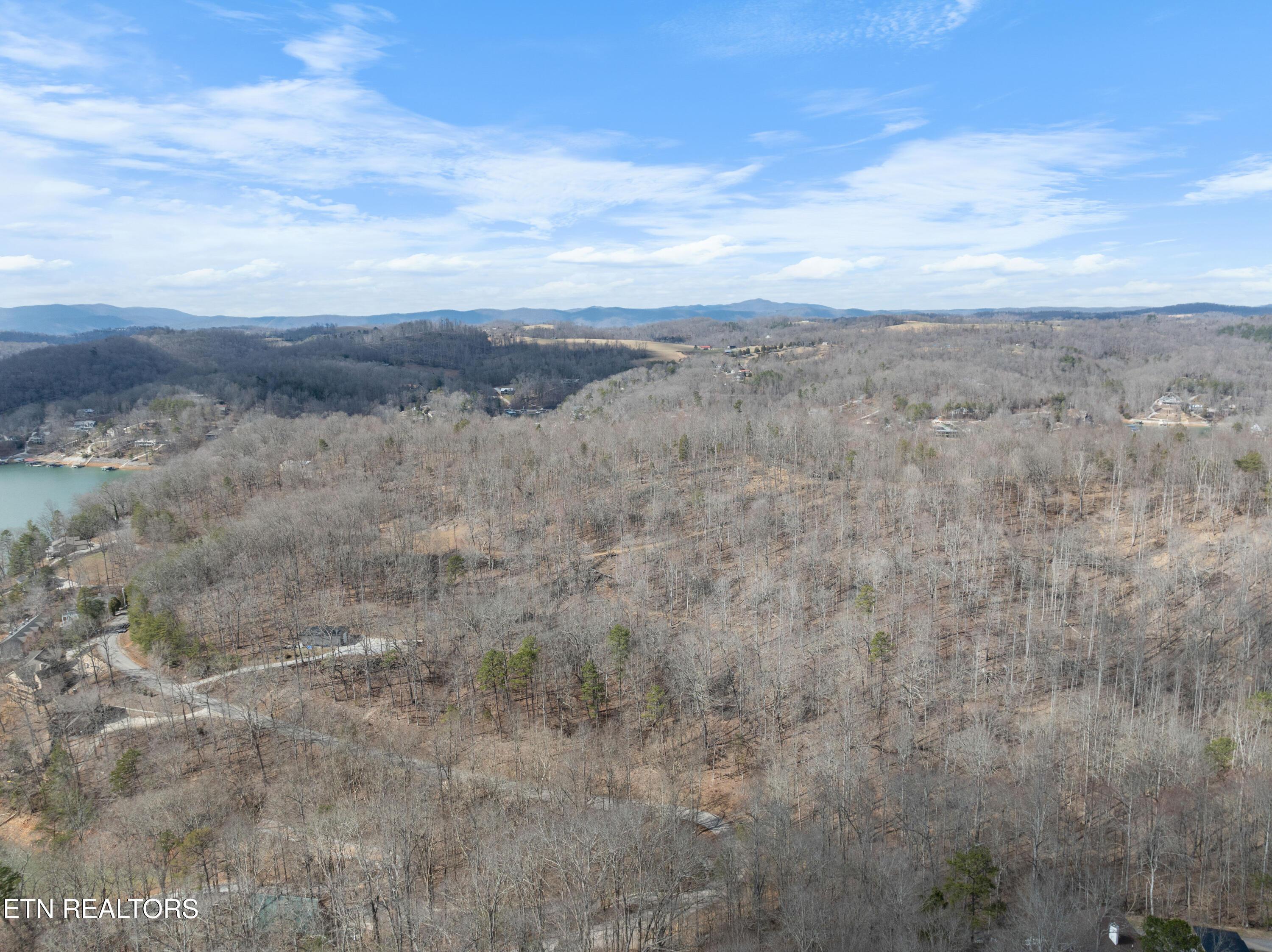 Norris Lake Real Estate - Image# 10