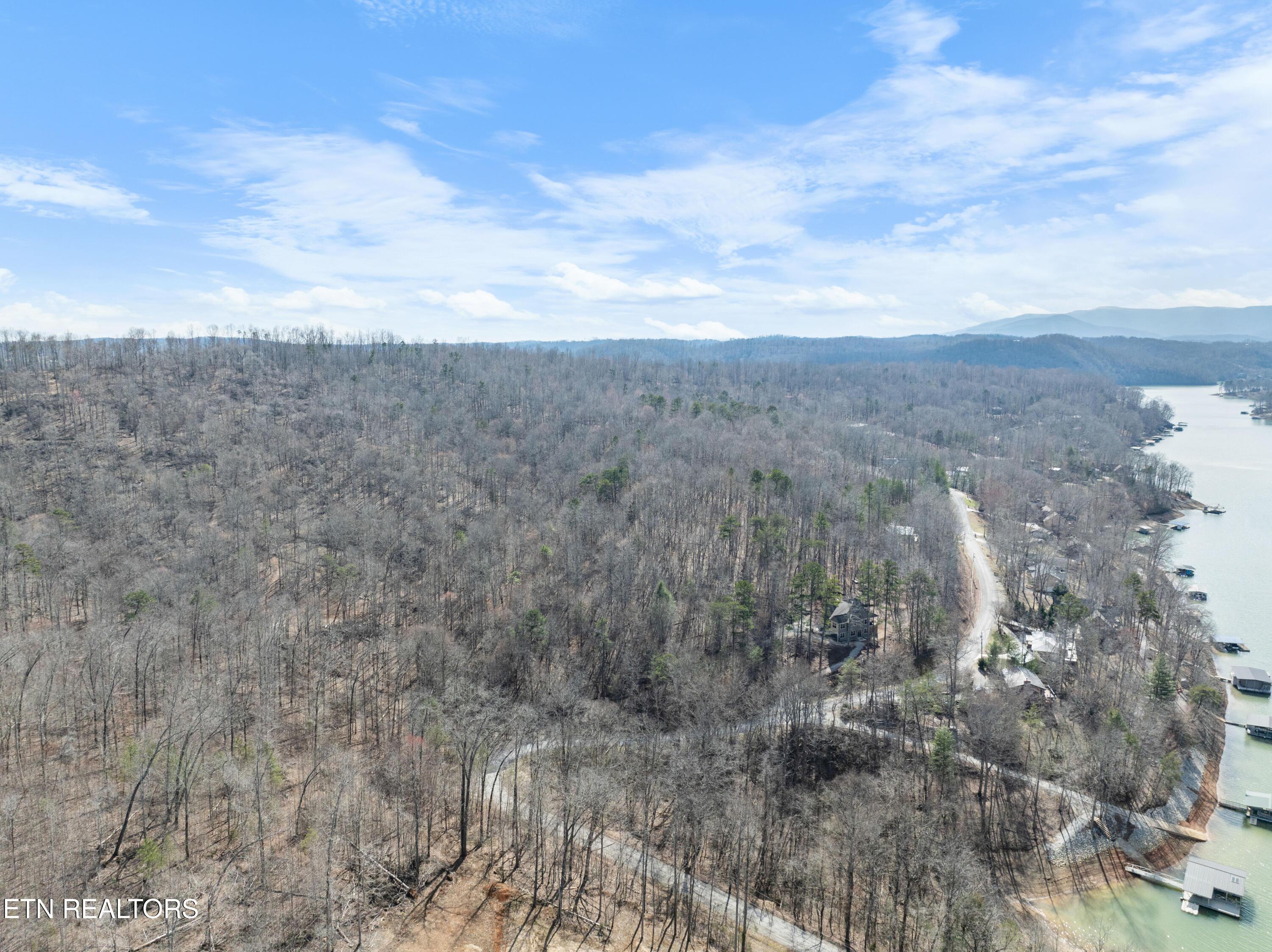 Norris Lake Real Estate - Image# 11