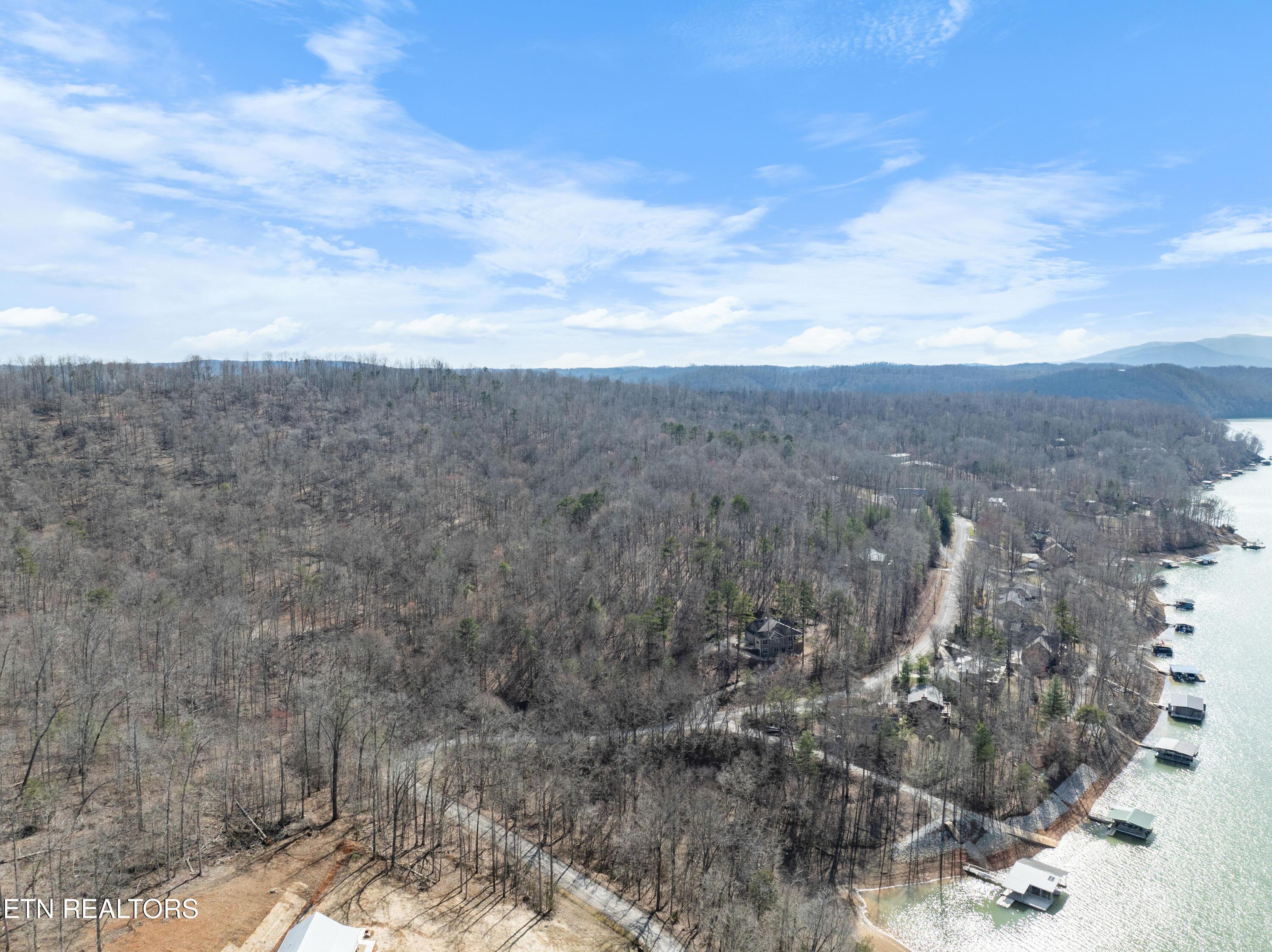 Norris Lake Real Estate - Image# 12