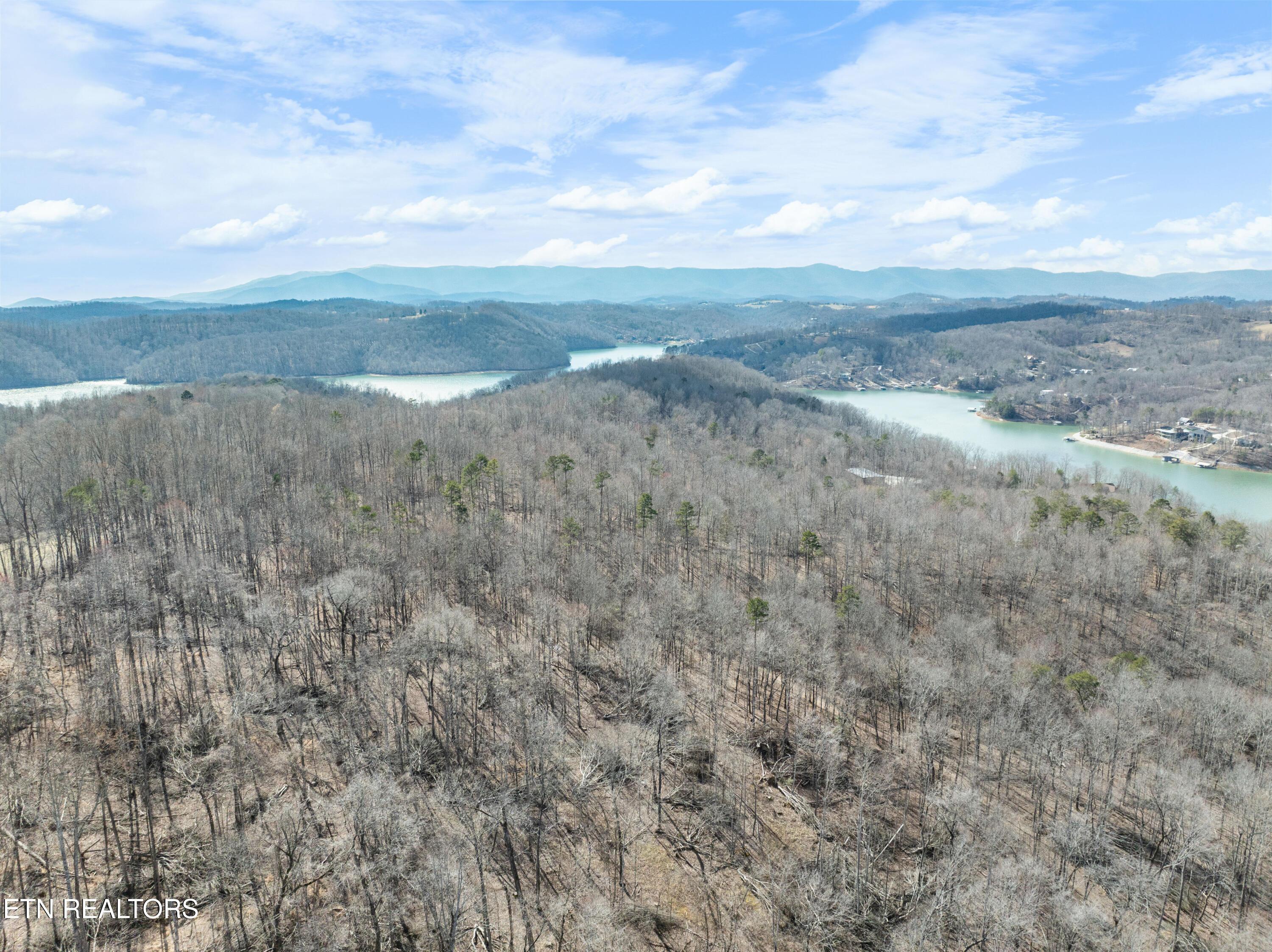 Norris Lake Real Estate - Image# 13