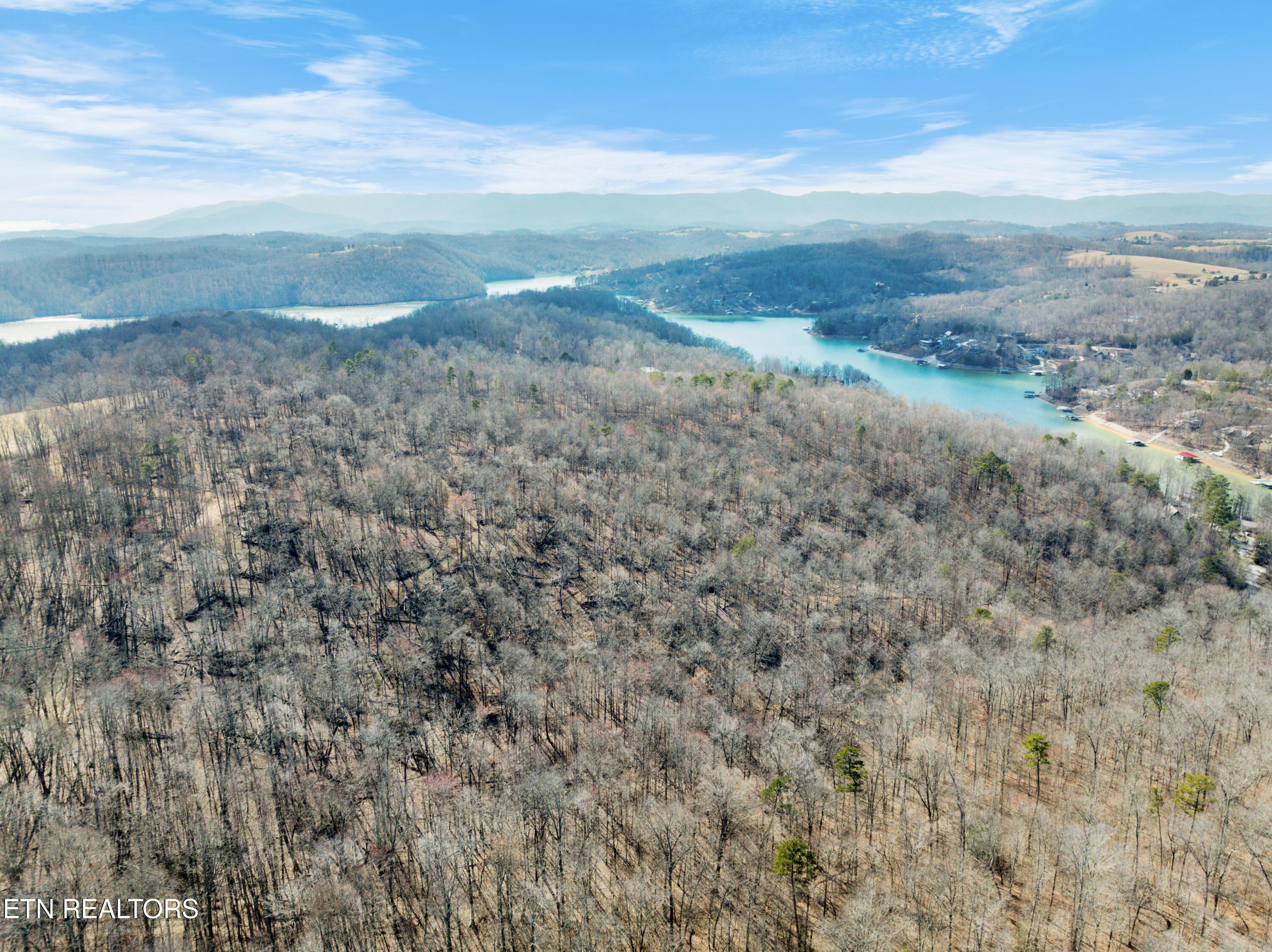 Norris Lake Real Estate - Image# 15