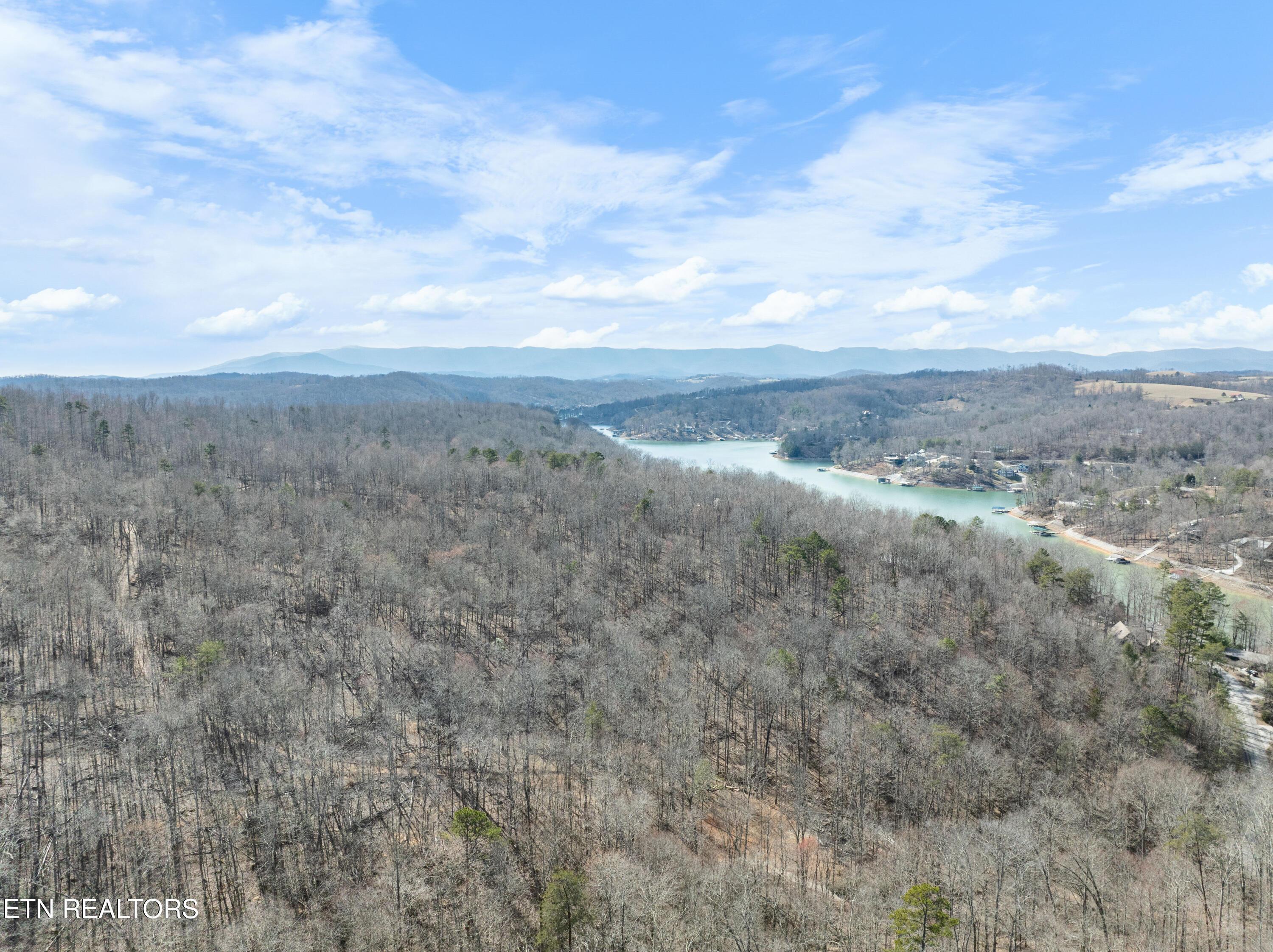 Norris Lake Real Estate - Image# 21