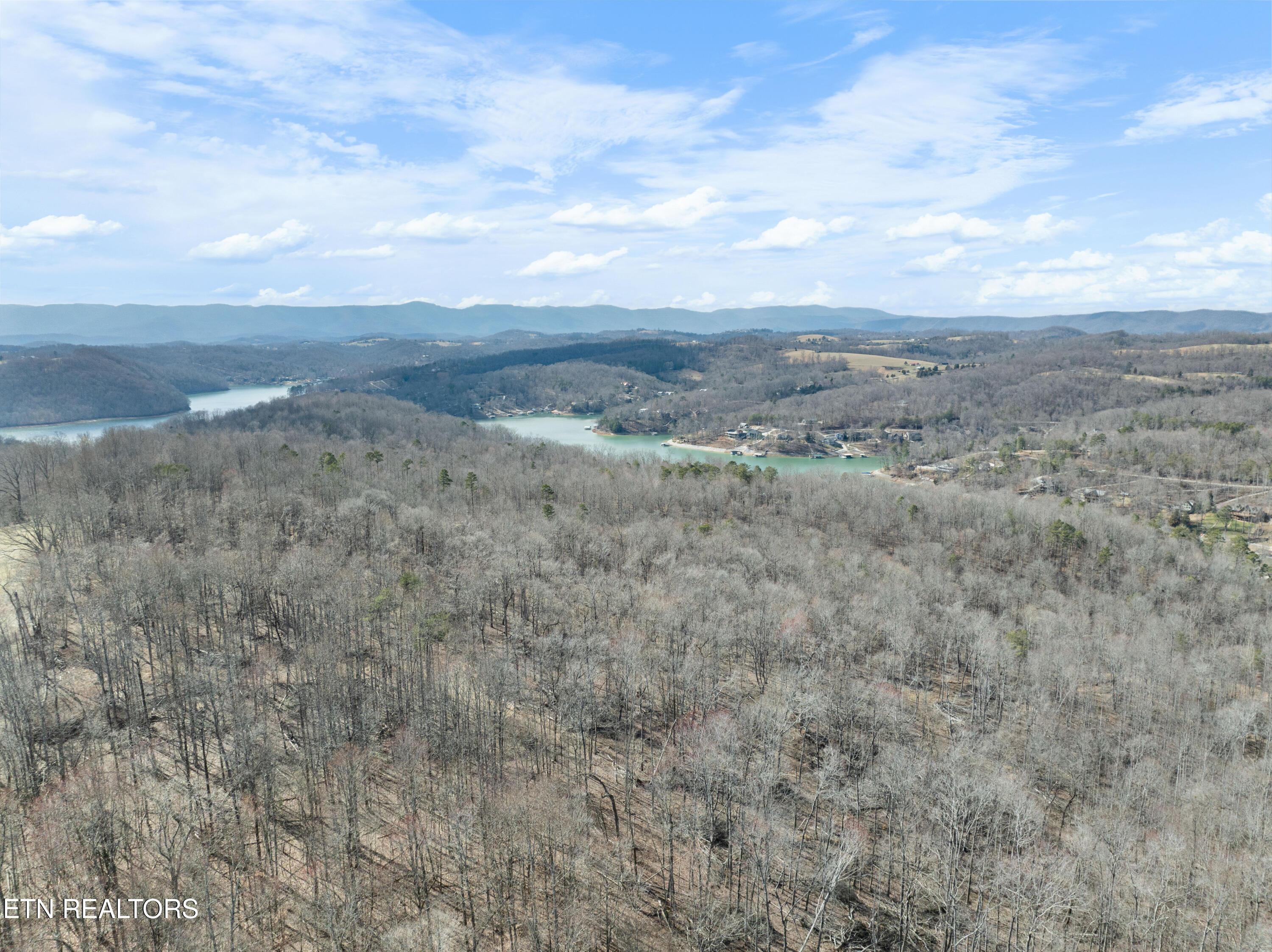 Norris Lake Real Estate - Image# 22