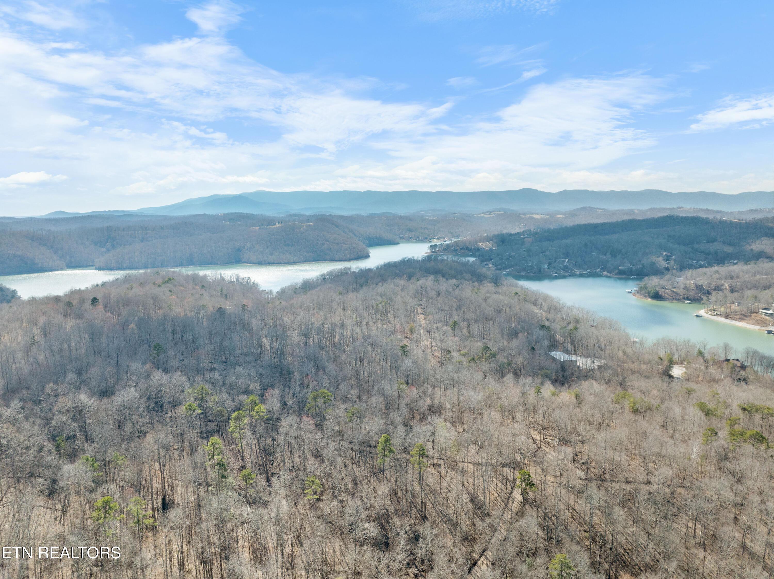 Norris Lake Real Estate - Image# 24