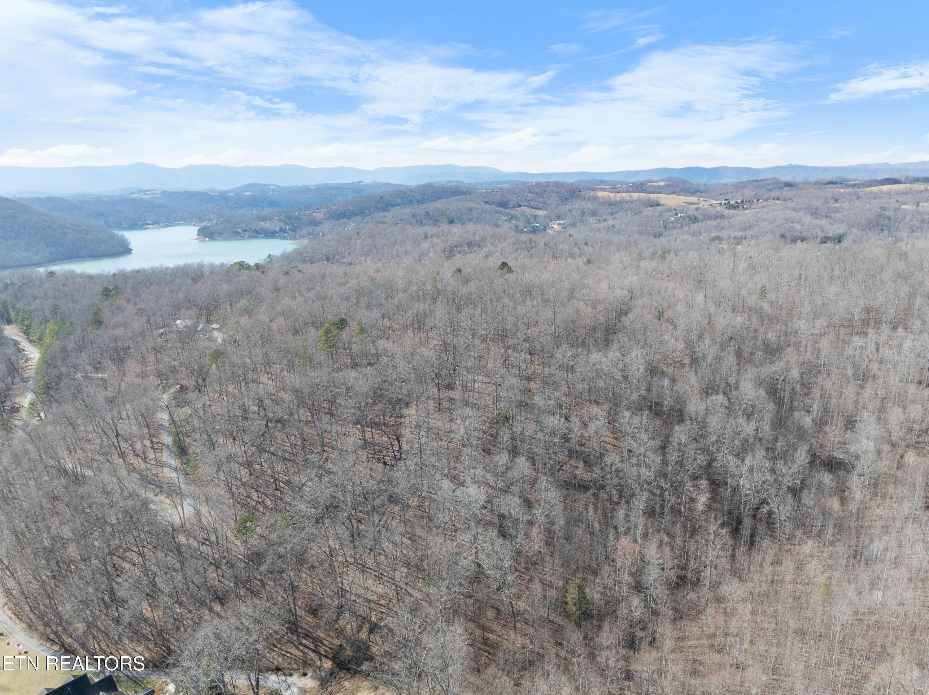 Norris Lake Real Estate - Image# 28