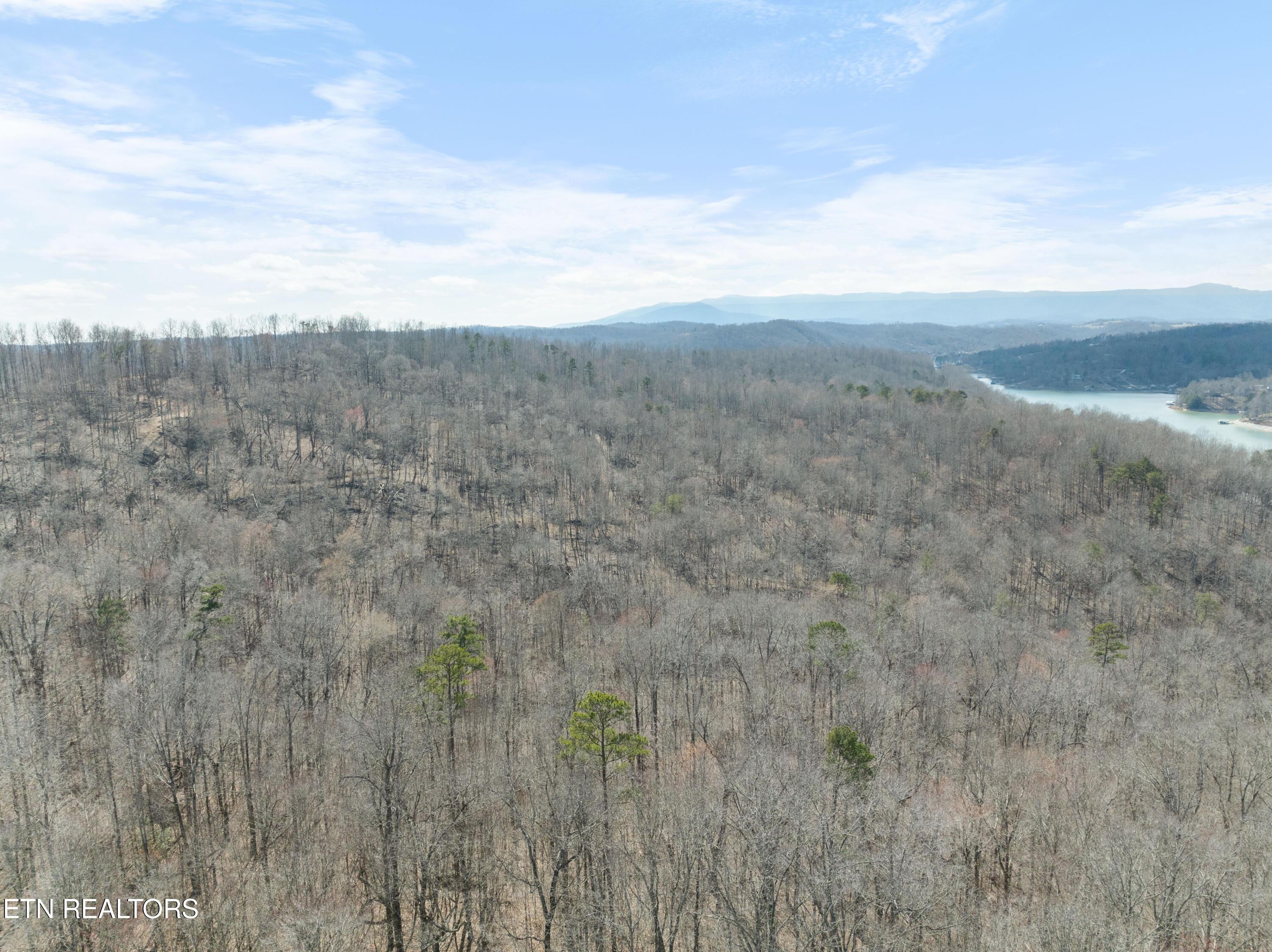 Norris Lake Real Estate - Image# 32