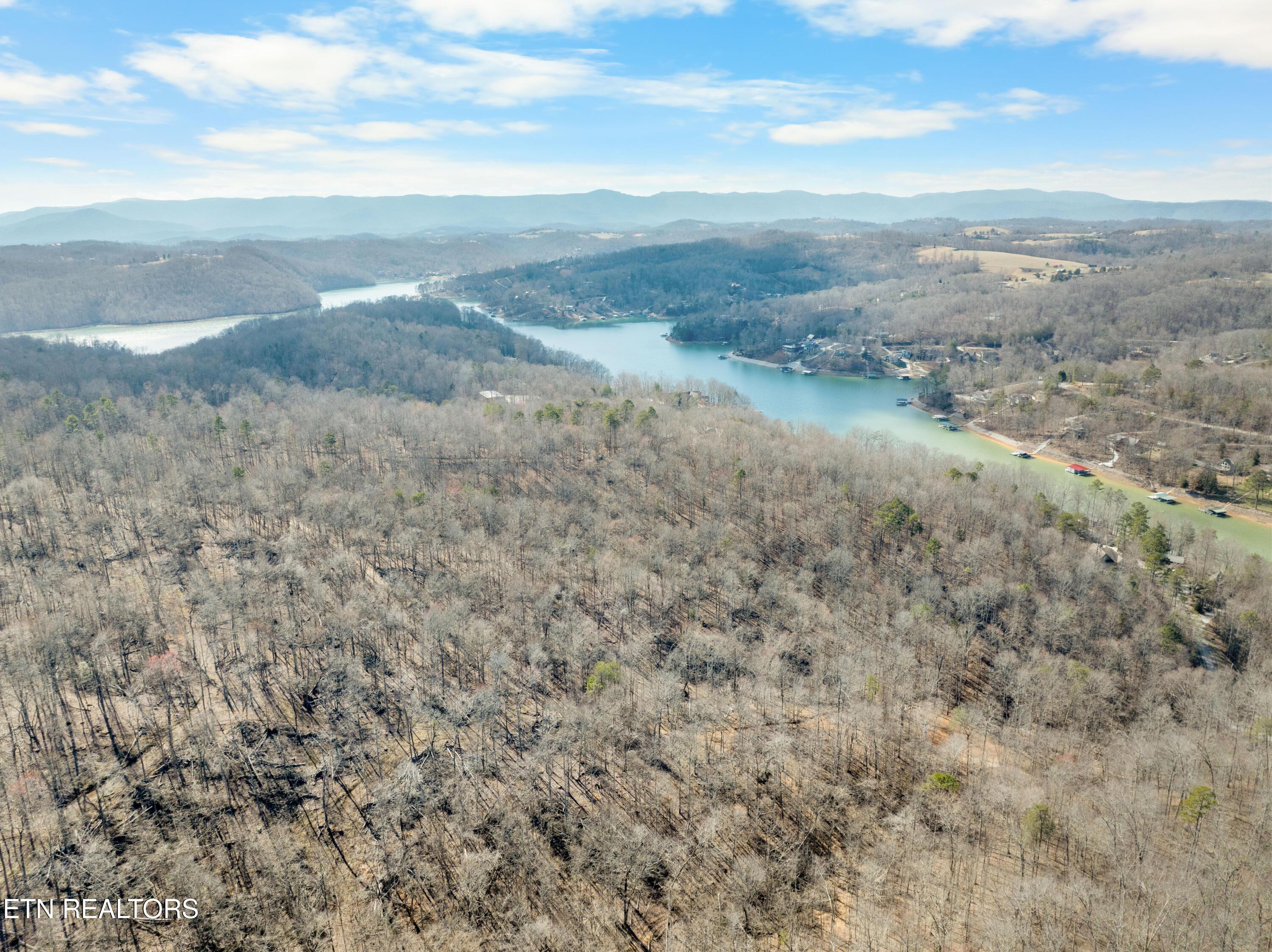 Norris Lake Real Estate - Image# 38