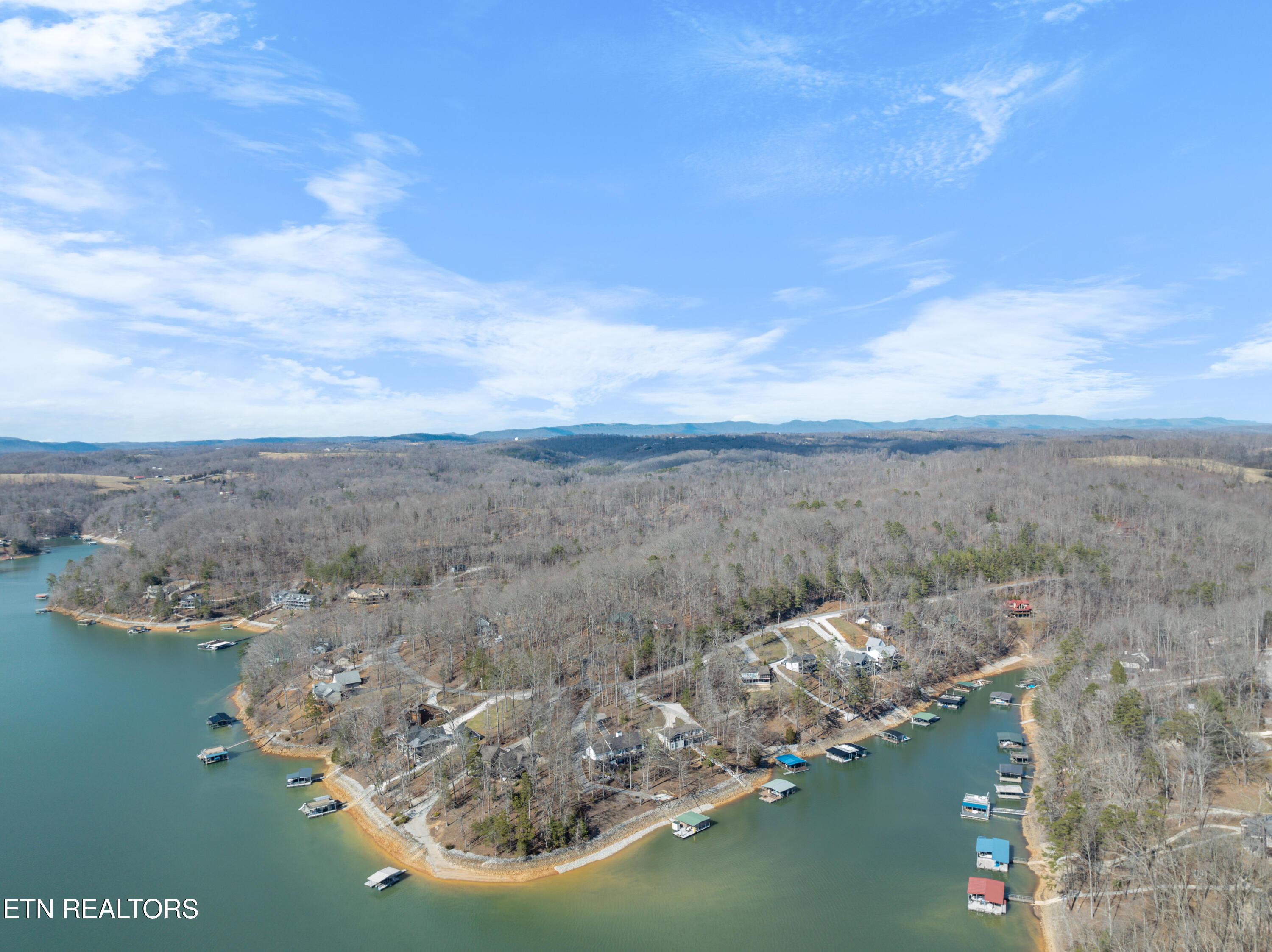 Norris Lake Real Estate - Image# 5