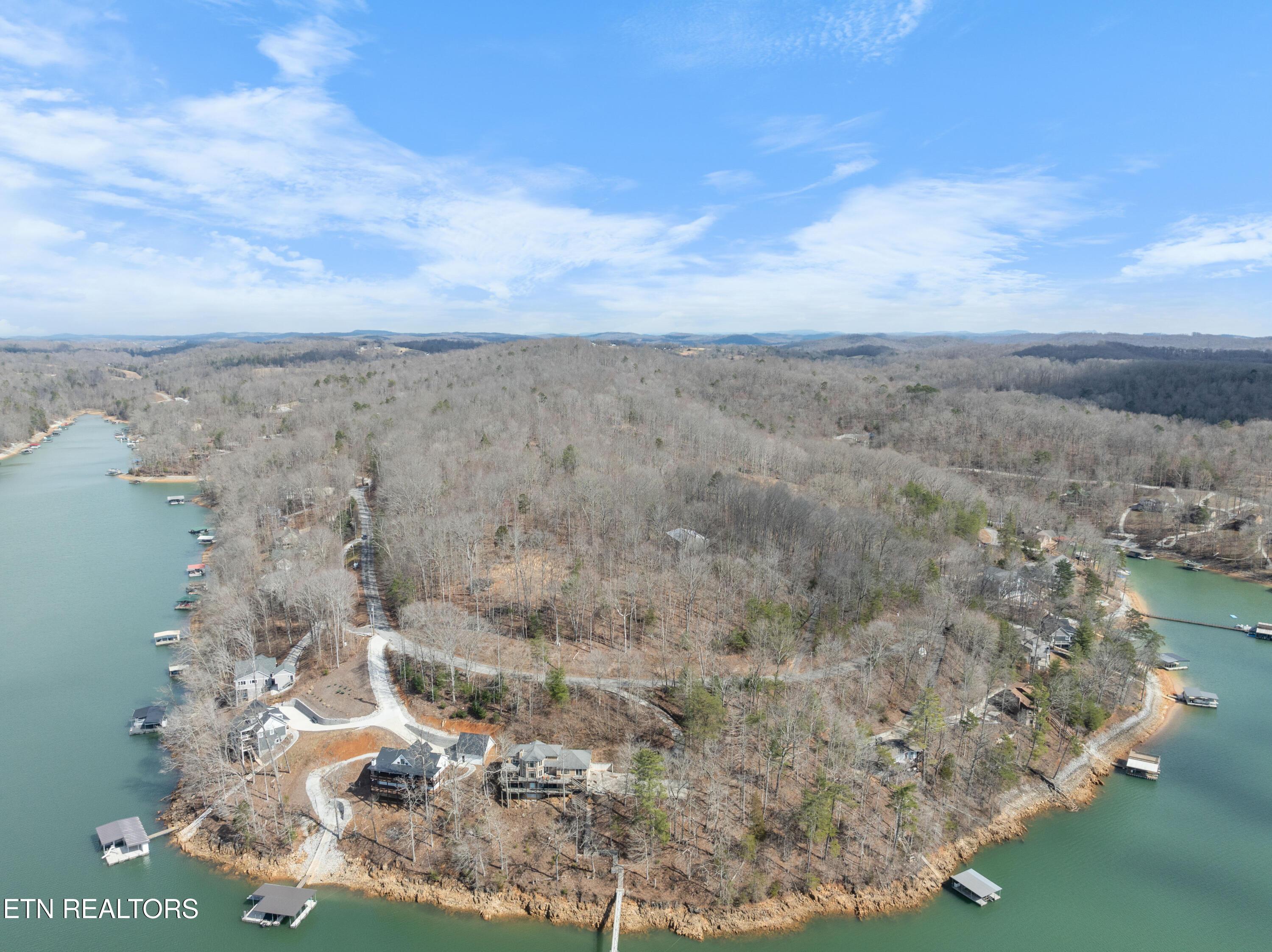 Norris Lake Real Estate - Image# 4