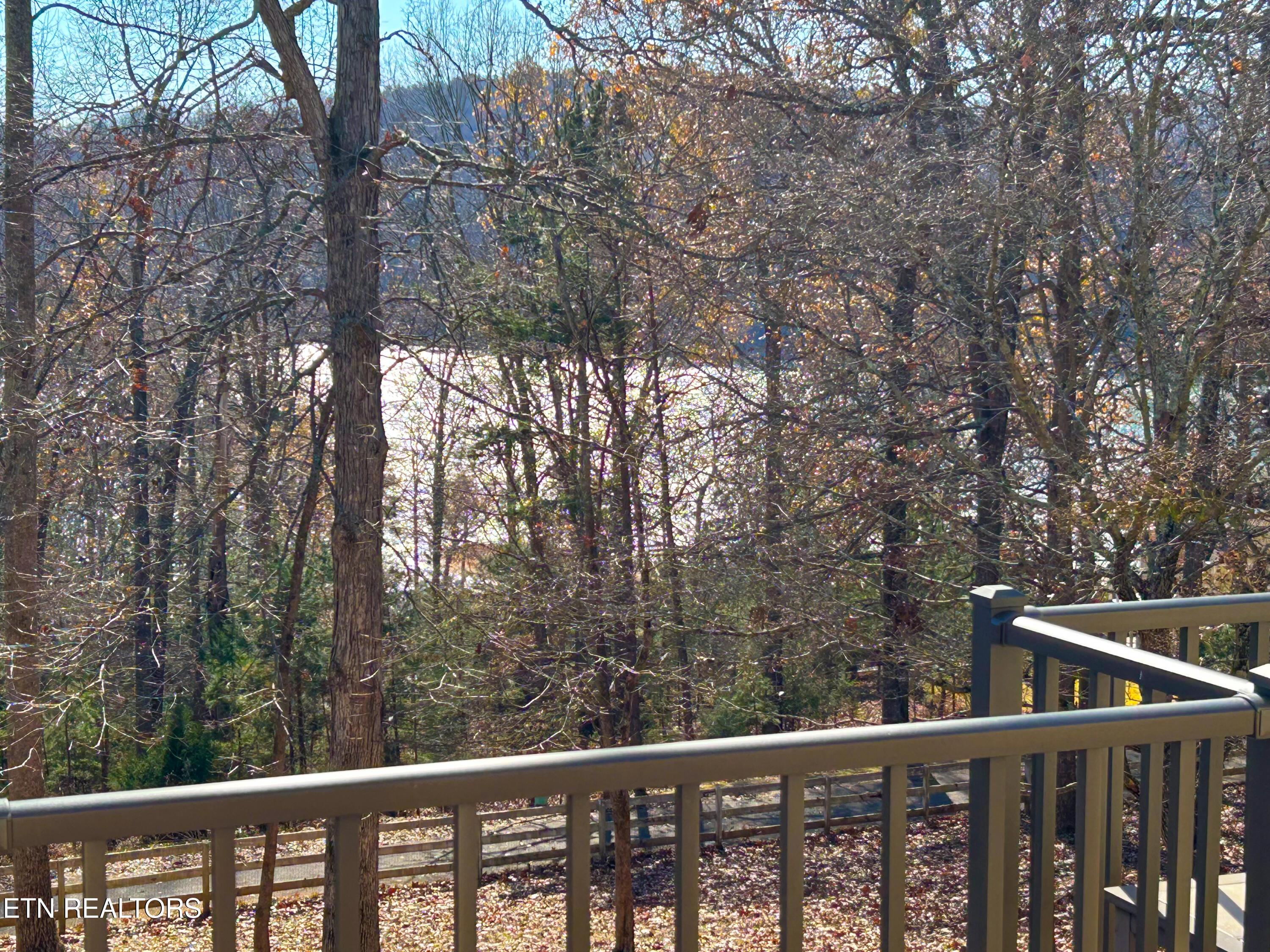 Norris Lake Real Estate - Image# 59