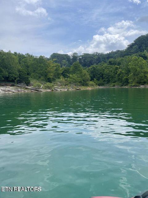 Norris Lake Real Estate - Image# 2