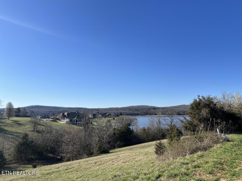 Norris Lake Real Estate - Image# 10