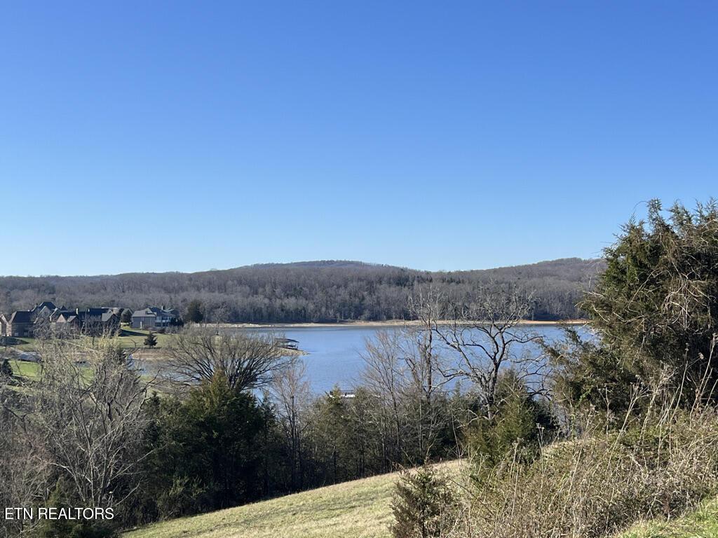 Norris Lake Real Estate - Image# 3