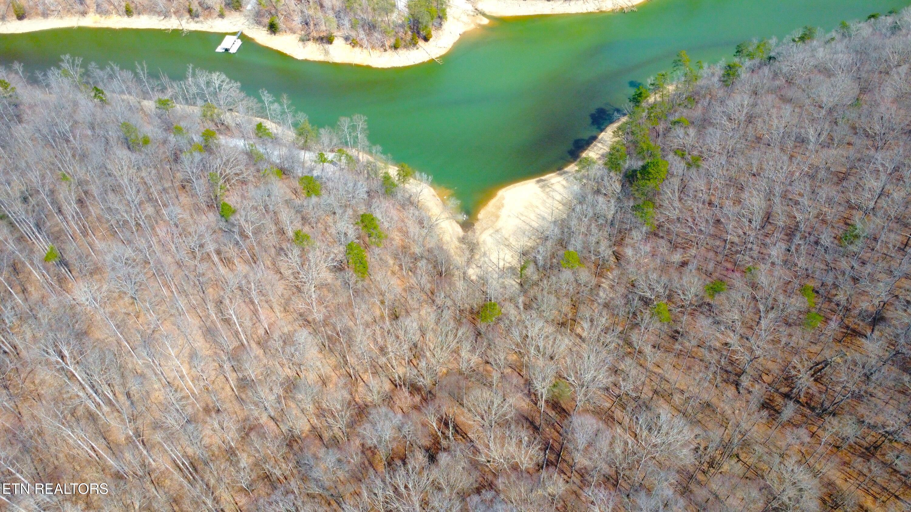 Norris Lake Real Estate - Image# 7