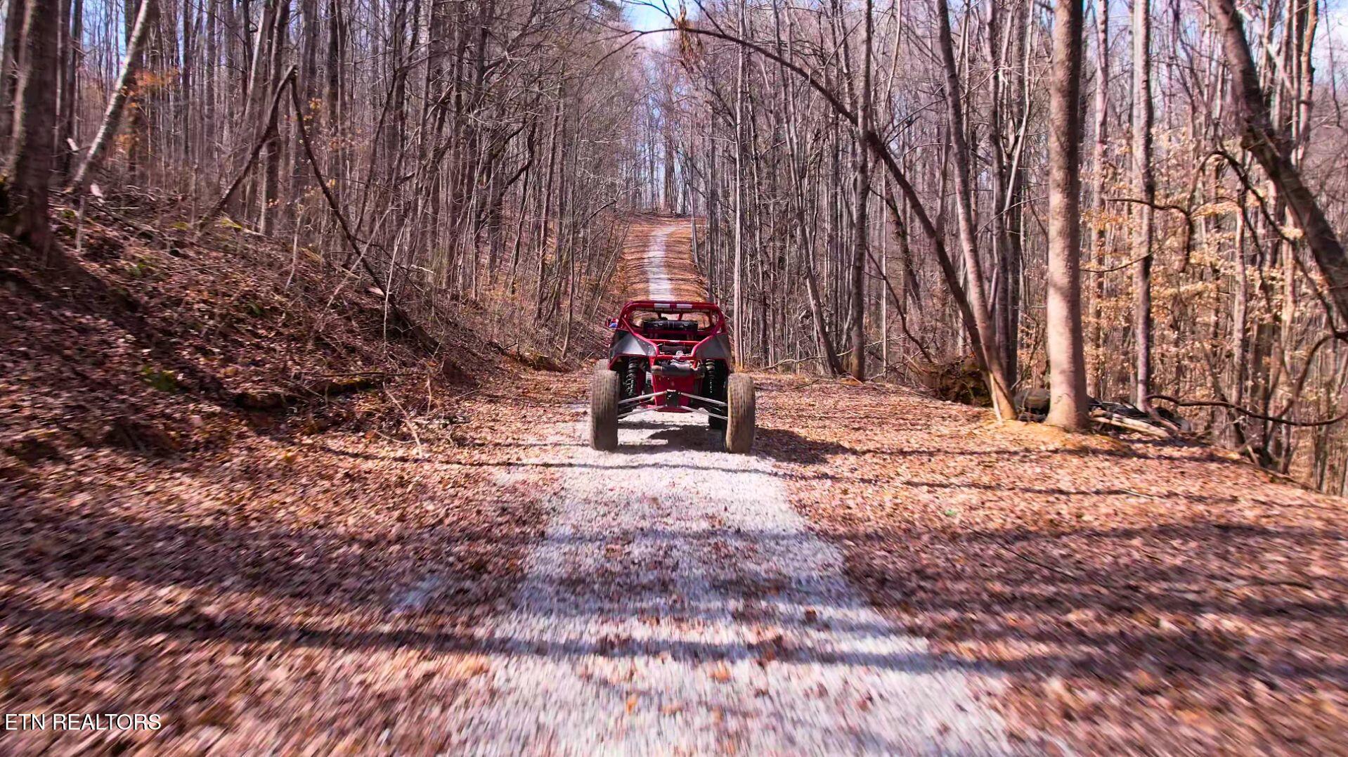 Norris Lake Real Estate - Image# 16