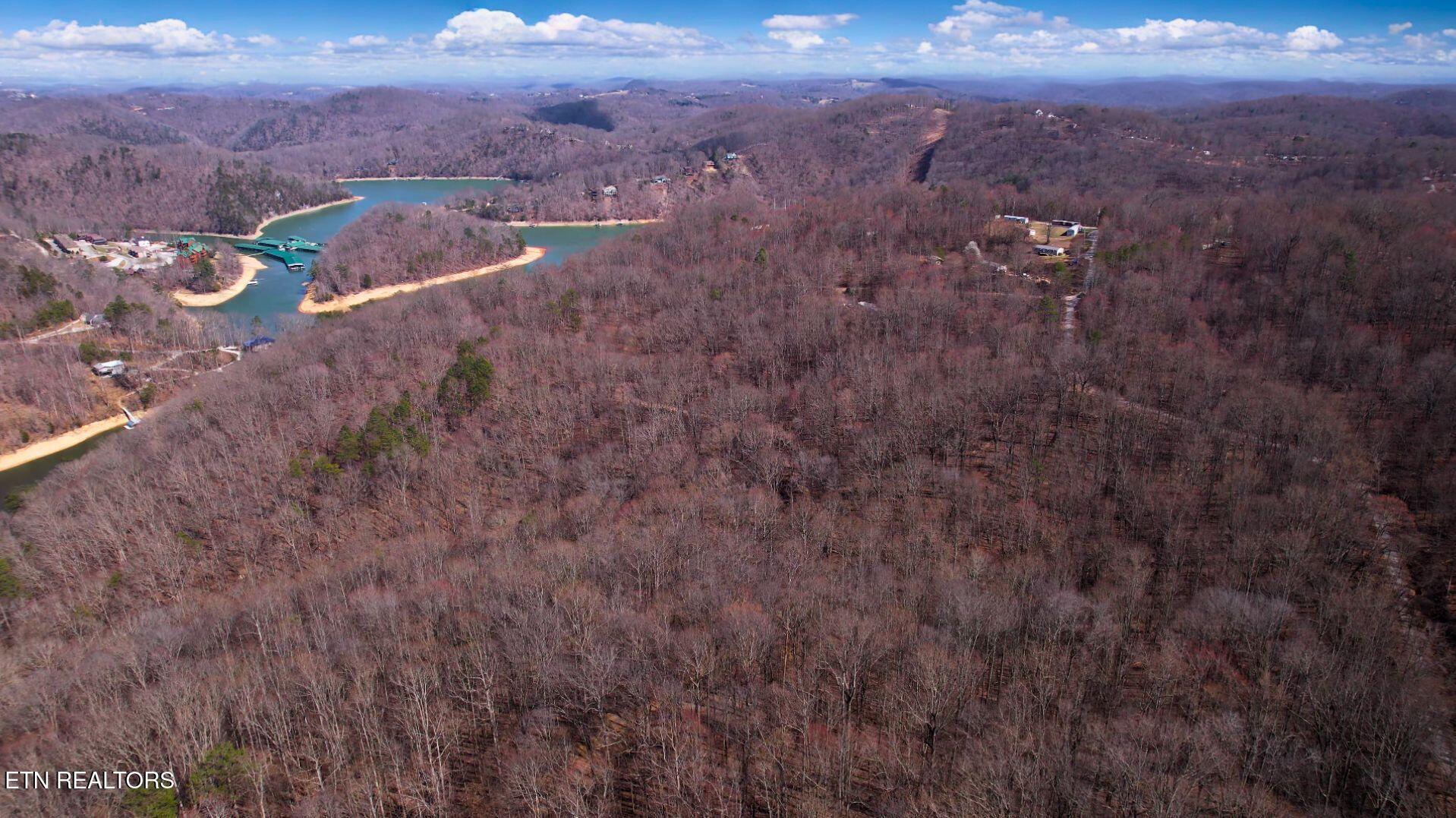 Norris Lake Real Estate - Image# 32