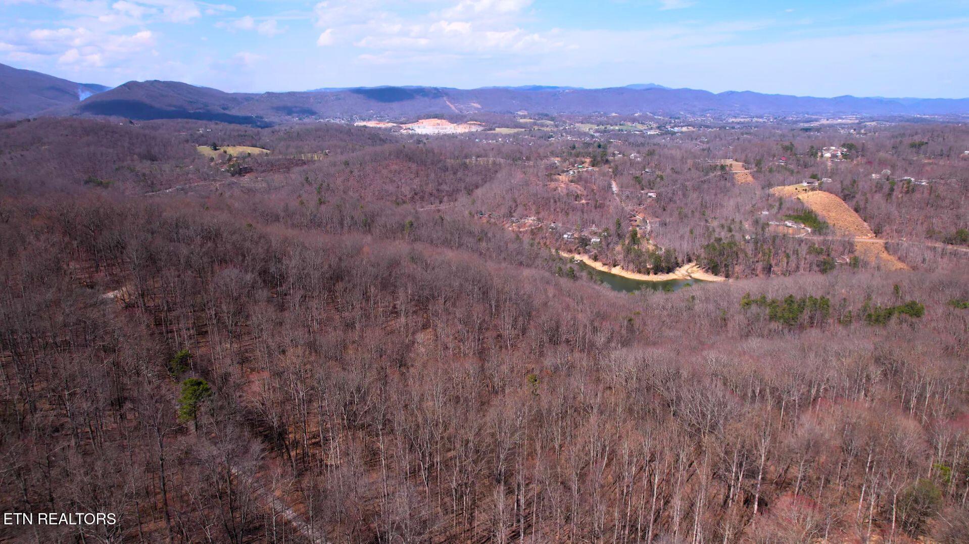 Norris Lake Real Estate - Image# 39