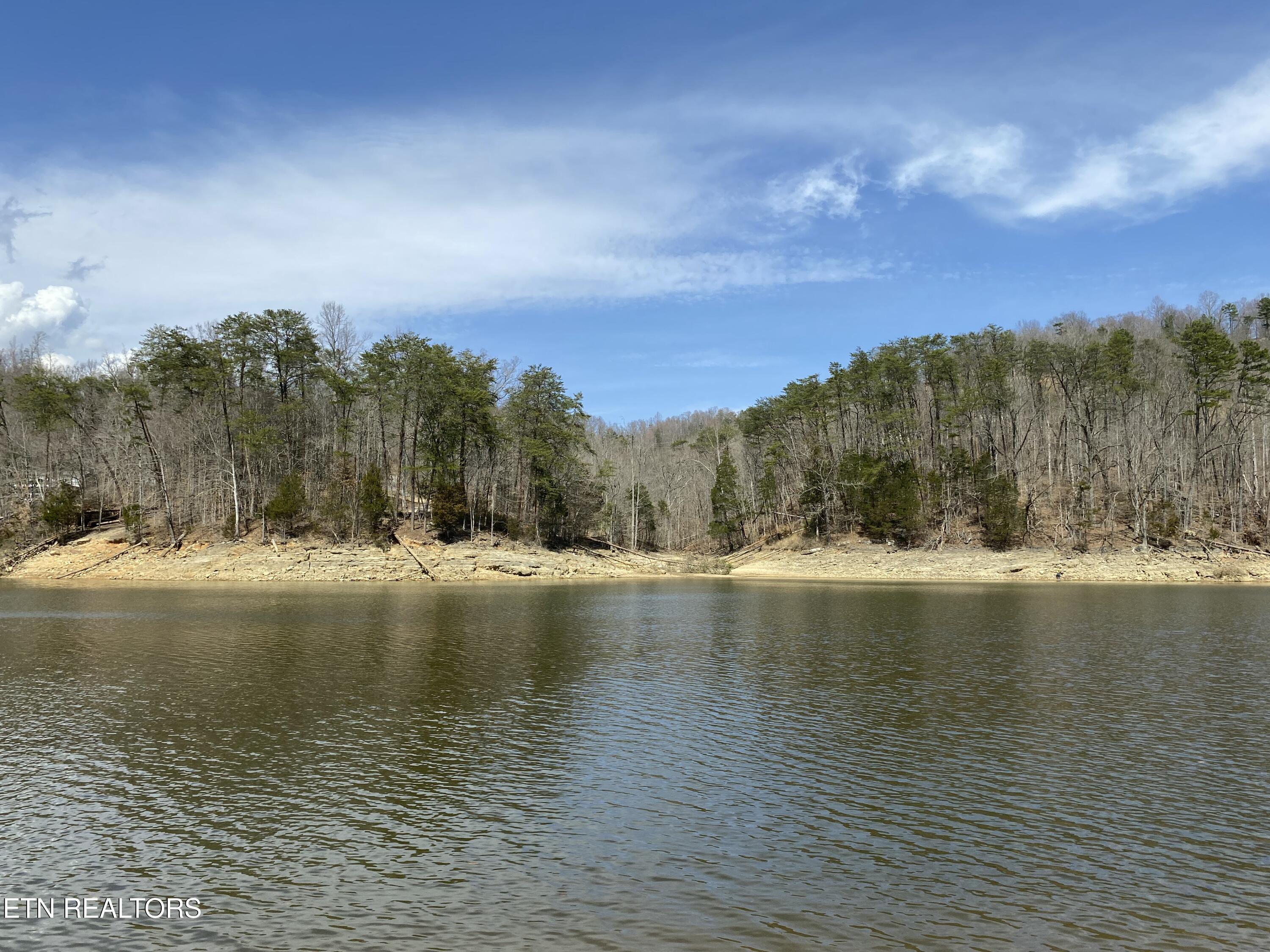 Norris Lake Real Estate - Image# 58