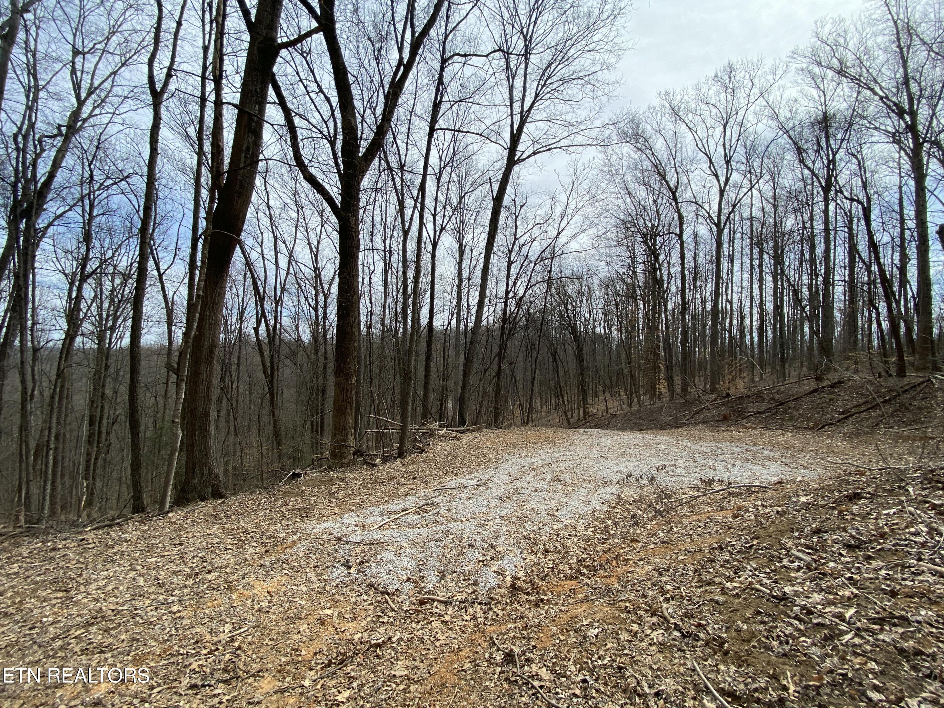 Norris Lake Real Estate - Image# 5