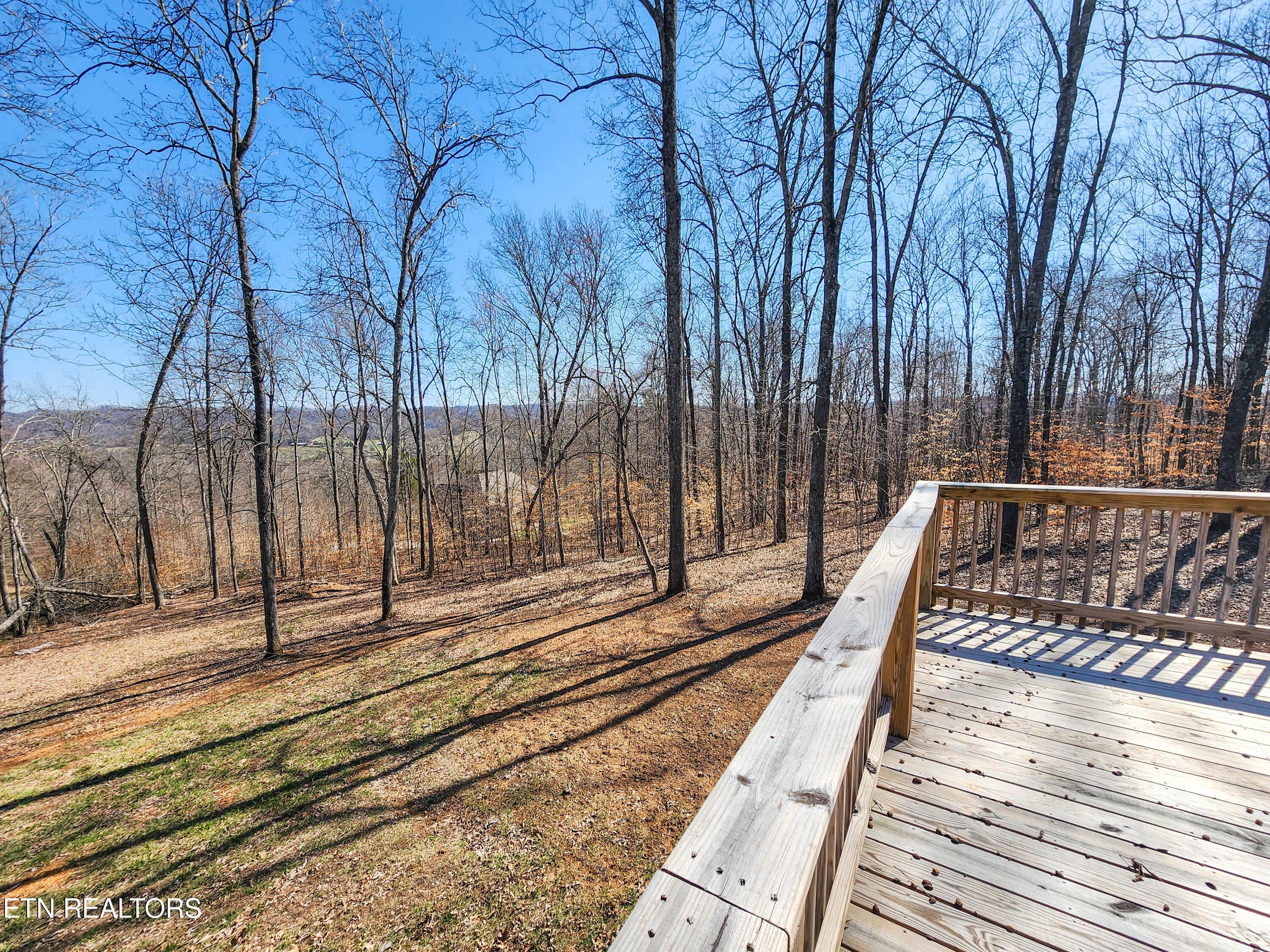 Norris Lake Real Estate - Image# 38