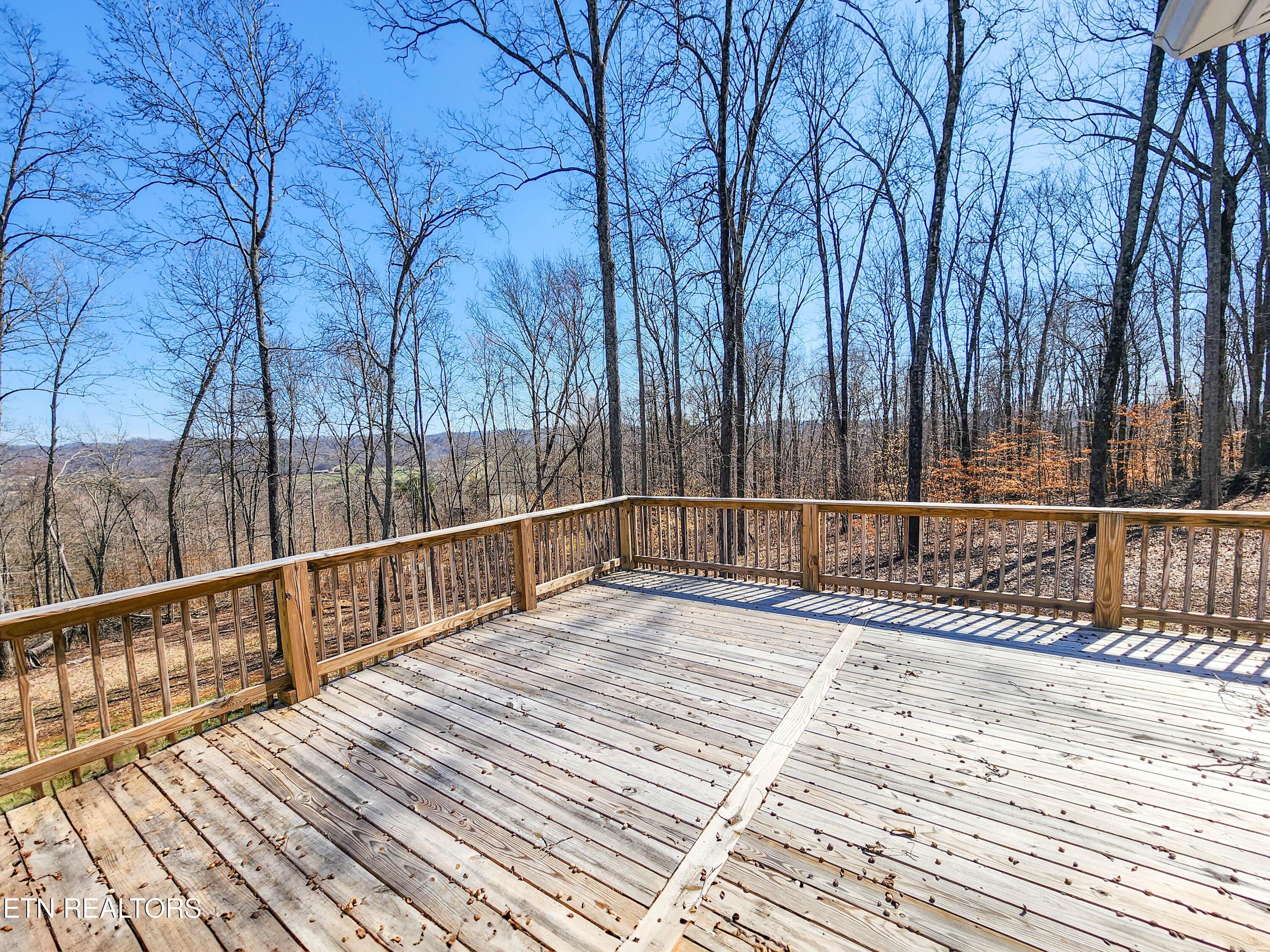 Norris Lake Real Estate - Image# 41