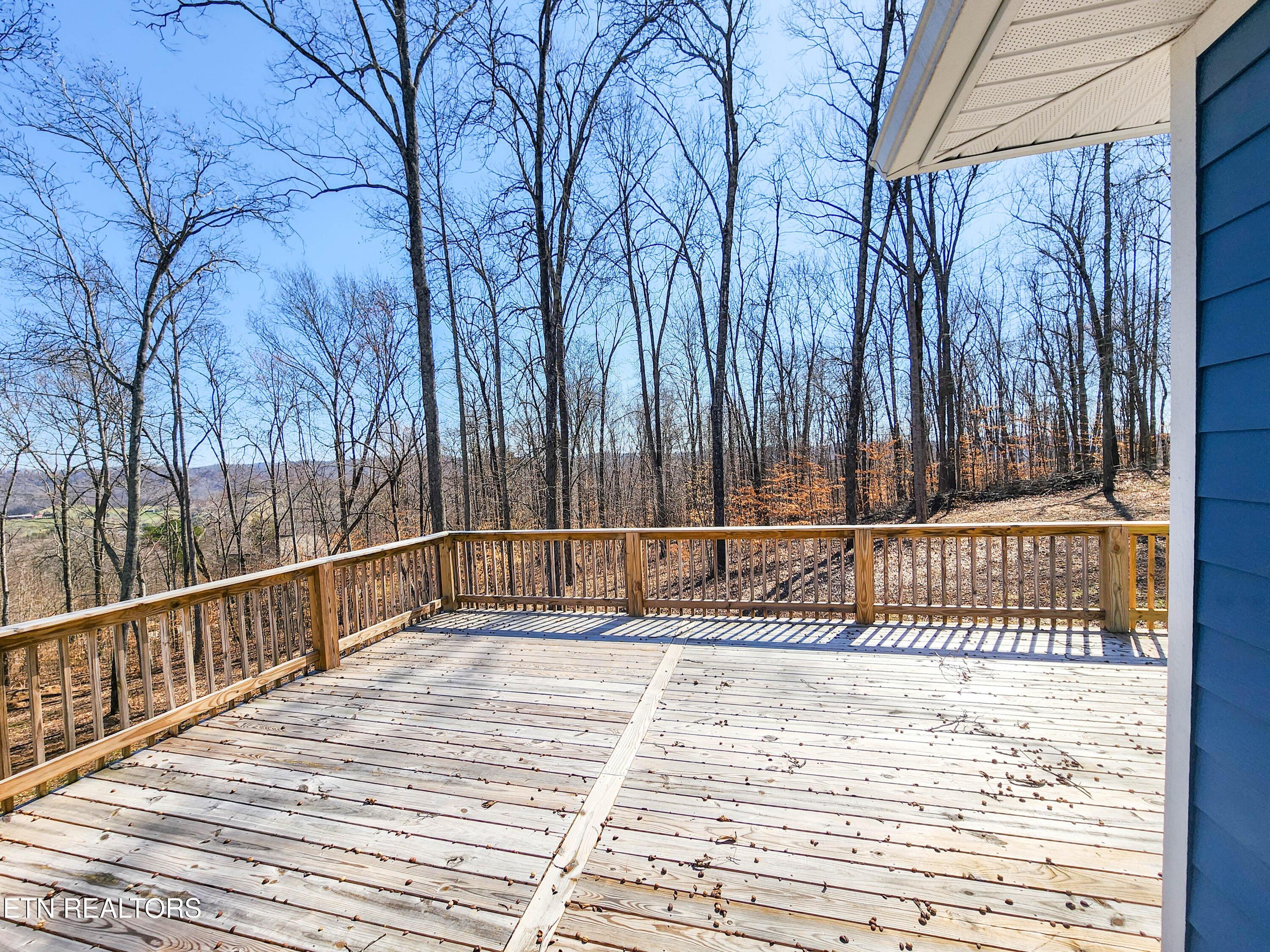 Norris Lake Real Estate - Image# 42