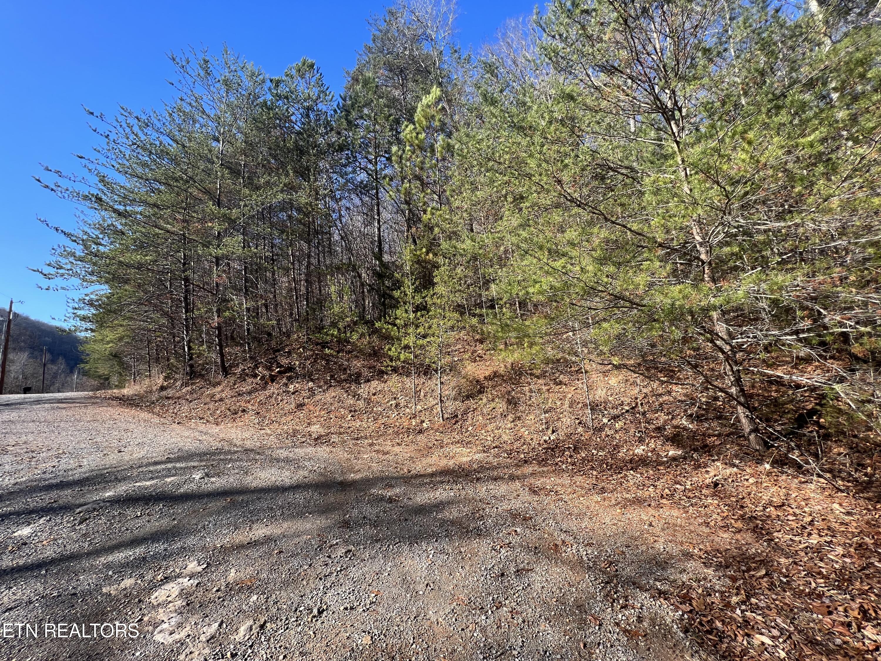 4 lots Jones Ridge Rd, Speedwell, TN - Norris Lake Real Estate - Image# 13
