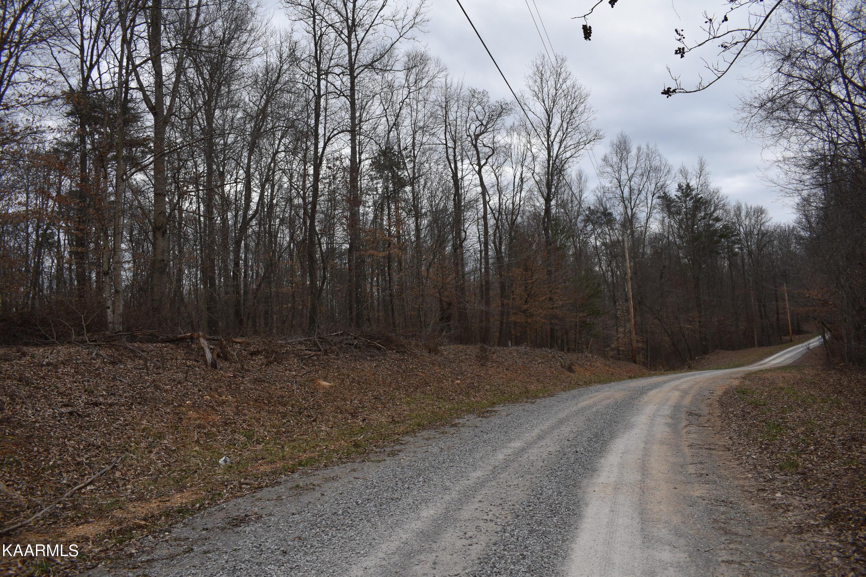 Lot 5 Jones Ridge Rd, Speedwell, TN - Norris Lake Real Estate - Image# 1