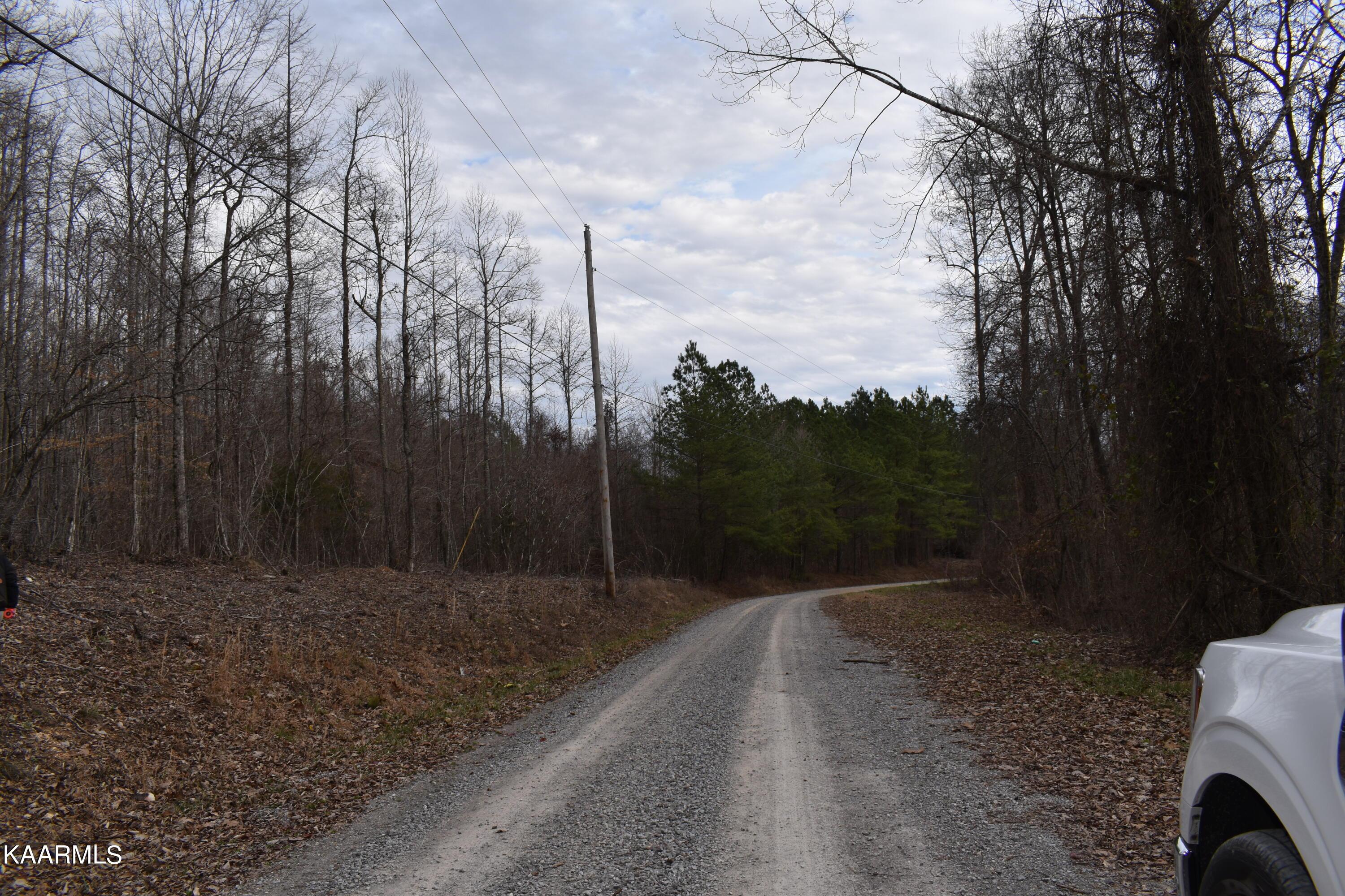 Lot 5 Jones Ridge Rd, Speedwell, TN - Norris Lake Real Estate - Image# 2