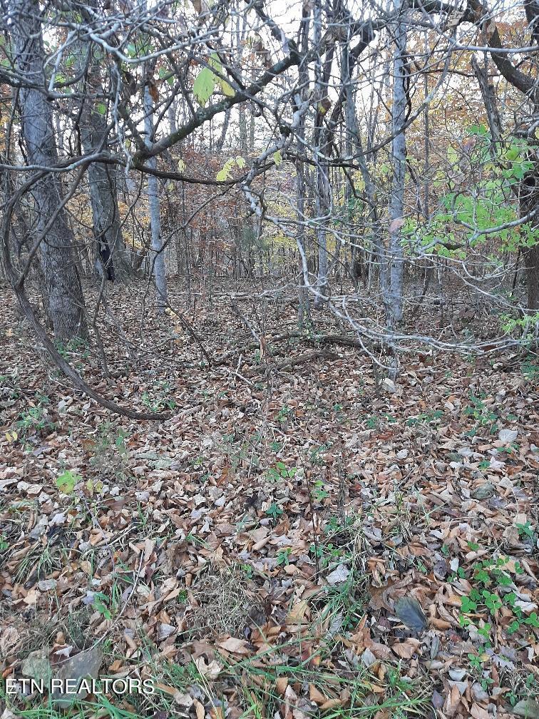Old Hearth Dr., Lafollette, TN - Norris Lake Real Estate - Image# 6