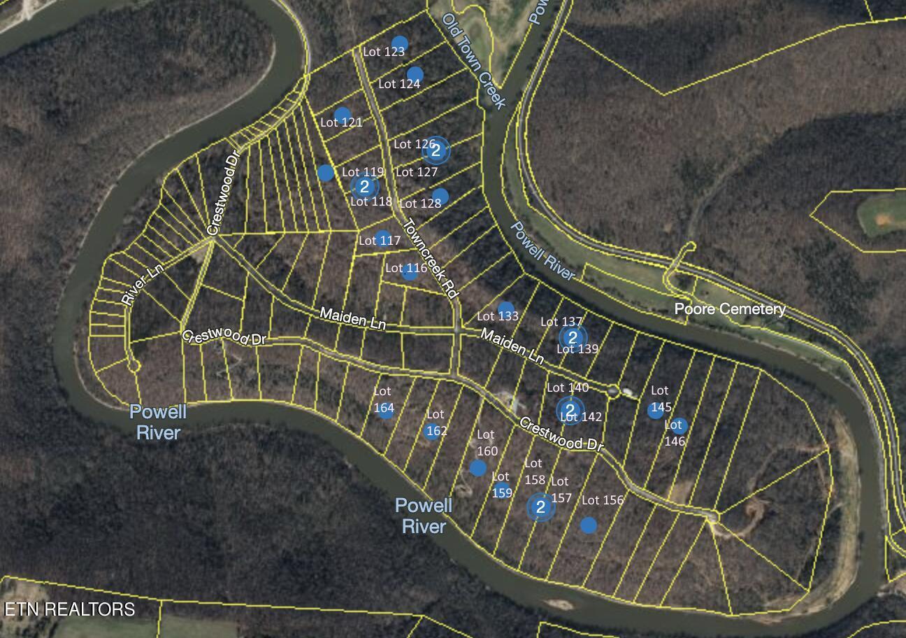 Lot 159 Crestwood Drive, Speedwell, TN - Norris Lake Real Estate - Image# 2