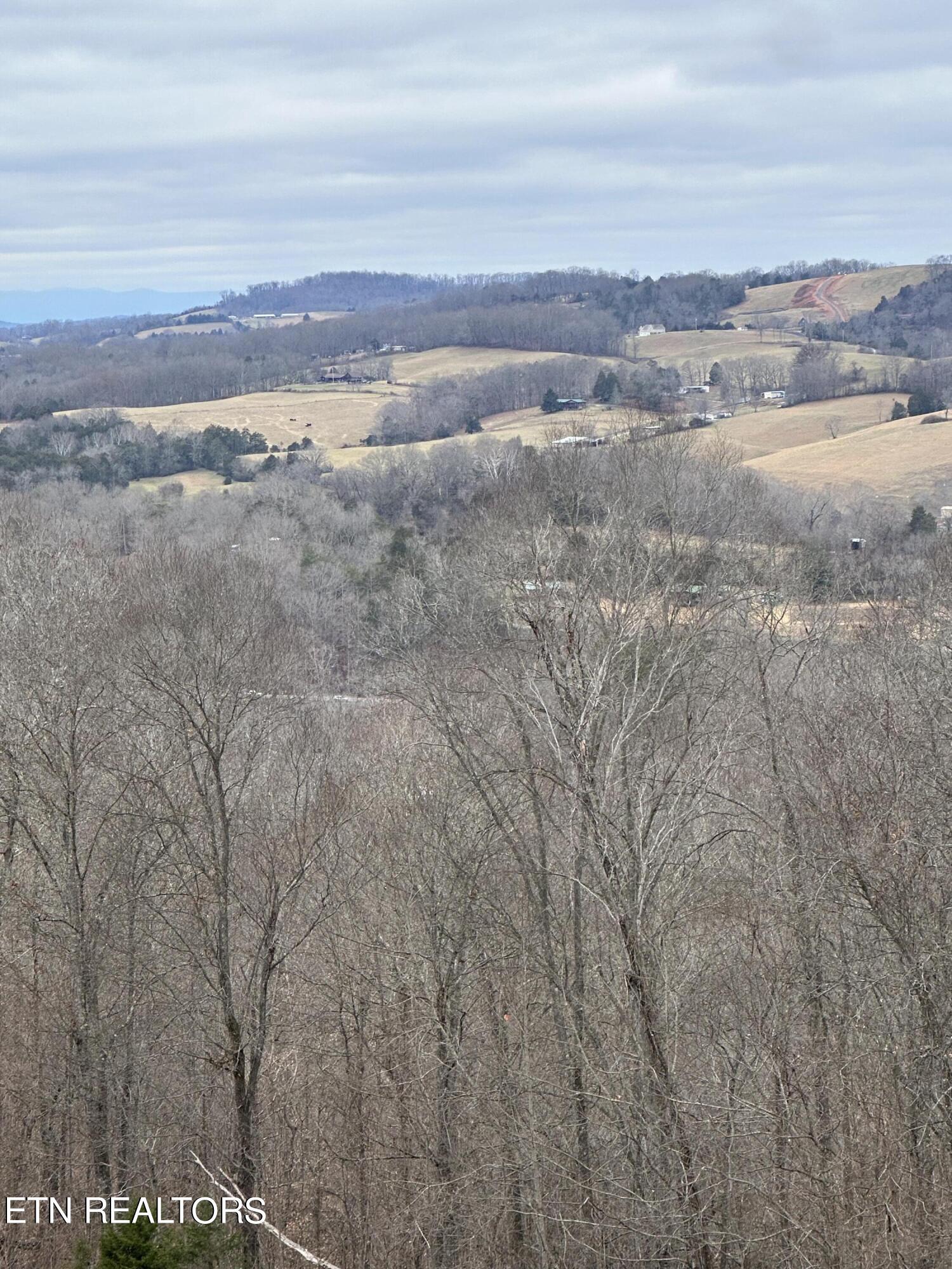L-265 Marble Point Way, New Tazewell, TN - Norris Lake Real Estate - Image# 5