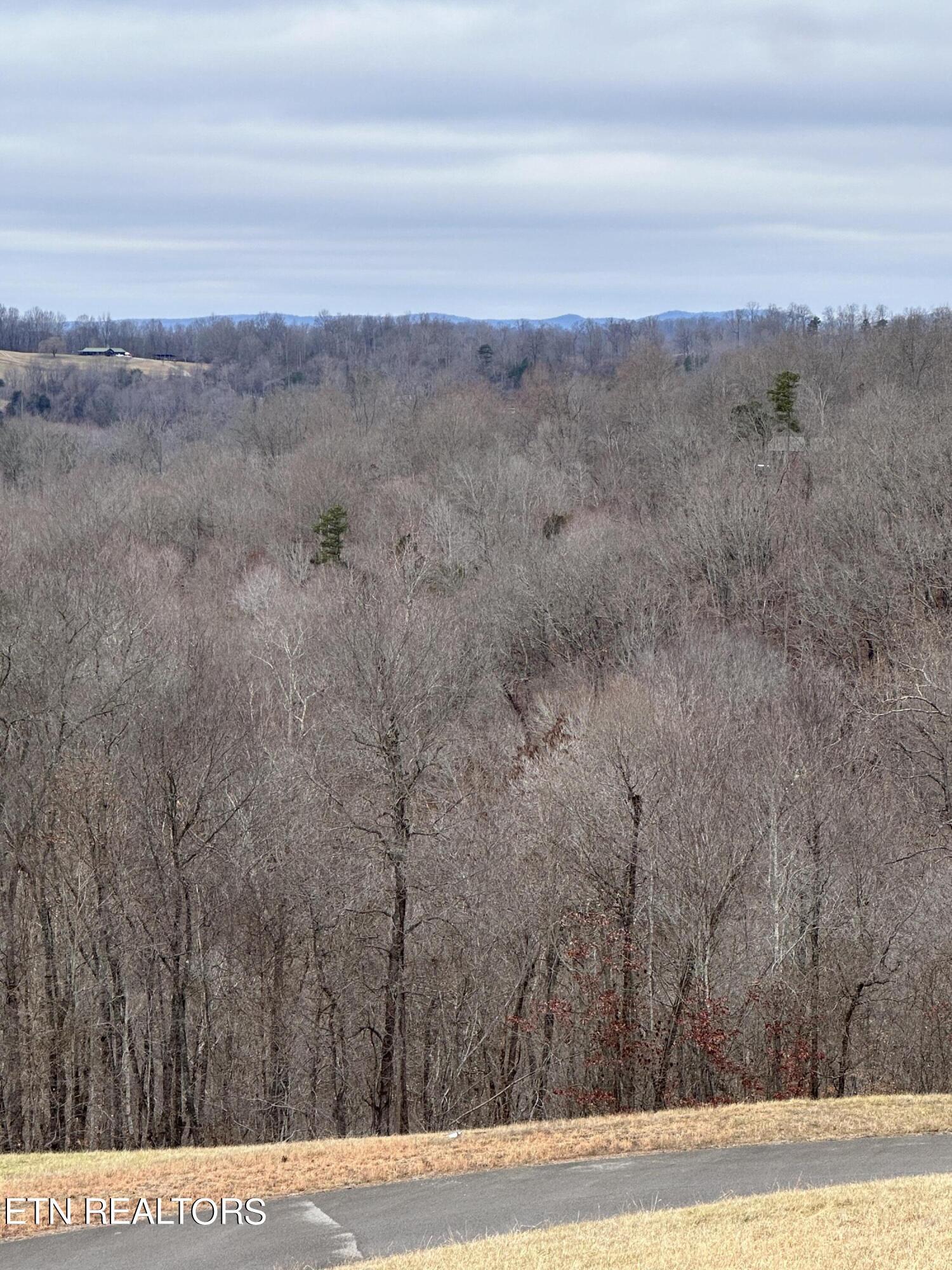 L-265 Marble Point Way, New Tazewell, TN - Norris Lake Real Estate - Image# 6