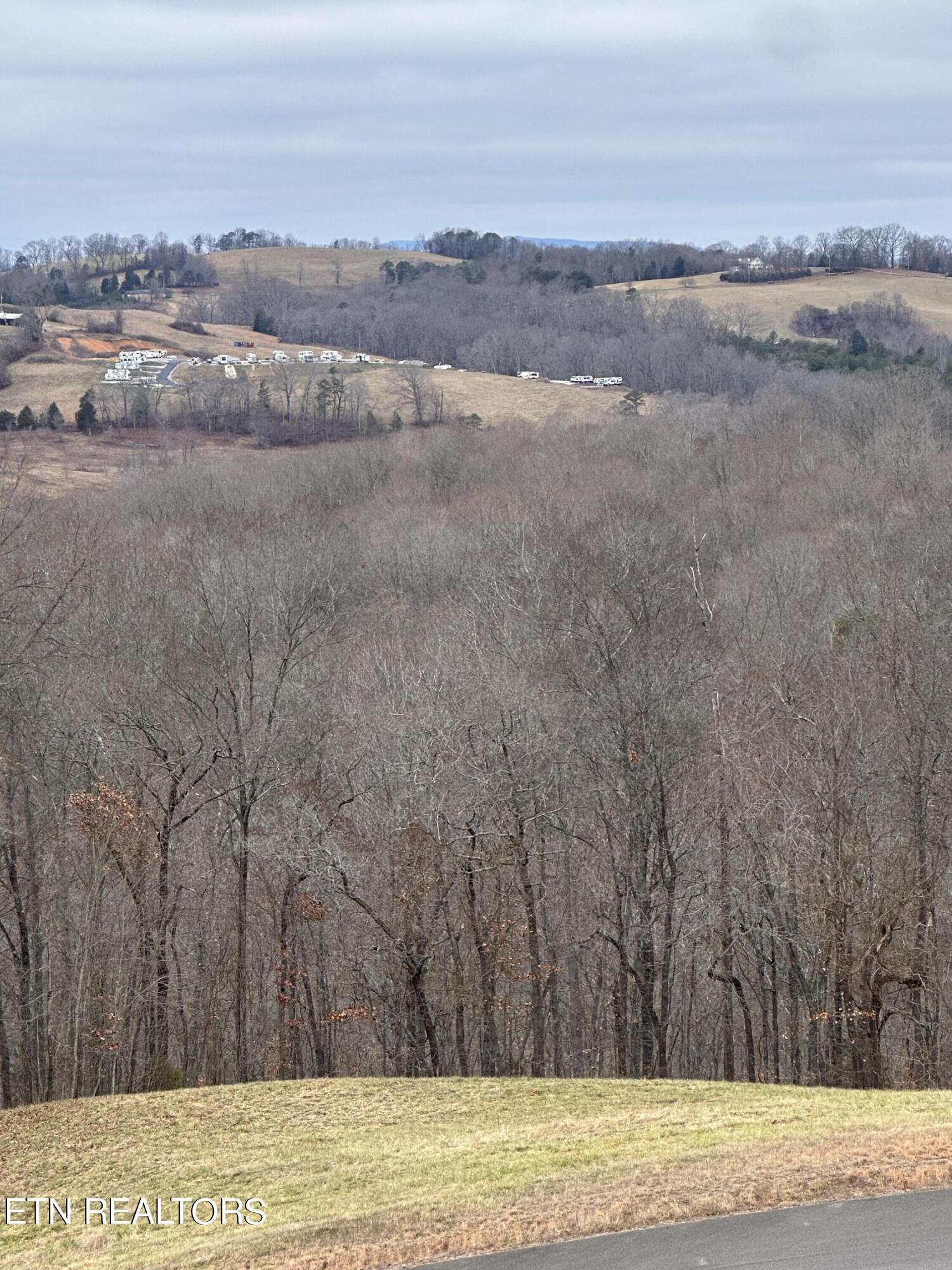 L-265 Marble Point Way, New Tazewell, TN - Norris Lake Real Estate - Image# 7