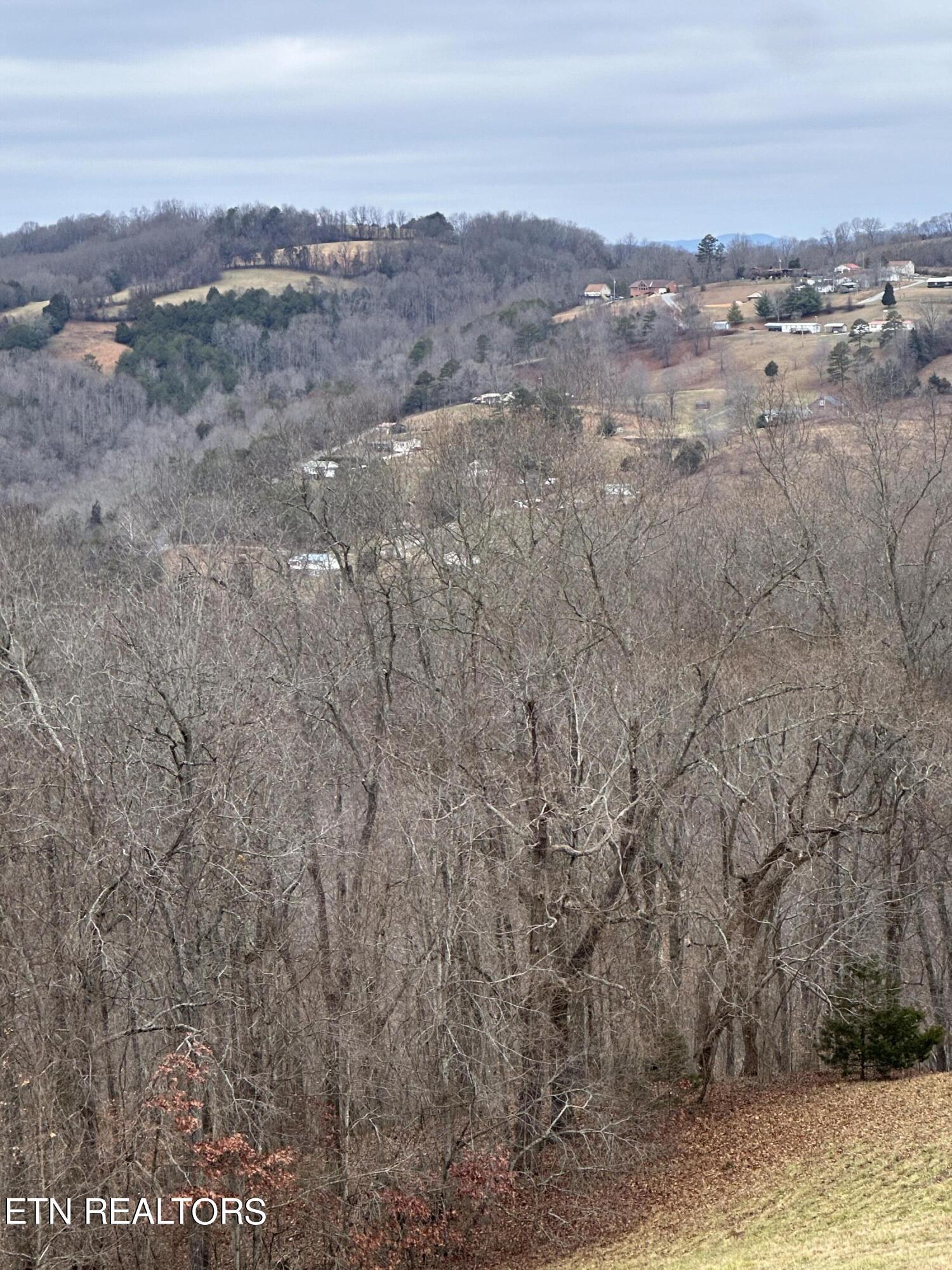 L-265 Marble Point Way, New Tazewell, TN - Norris Lake Real Estate - Image# 9