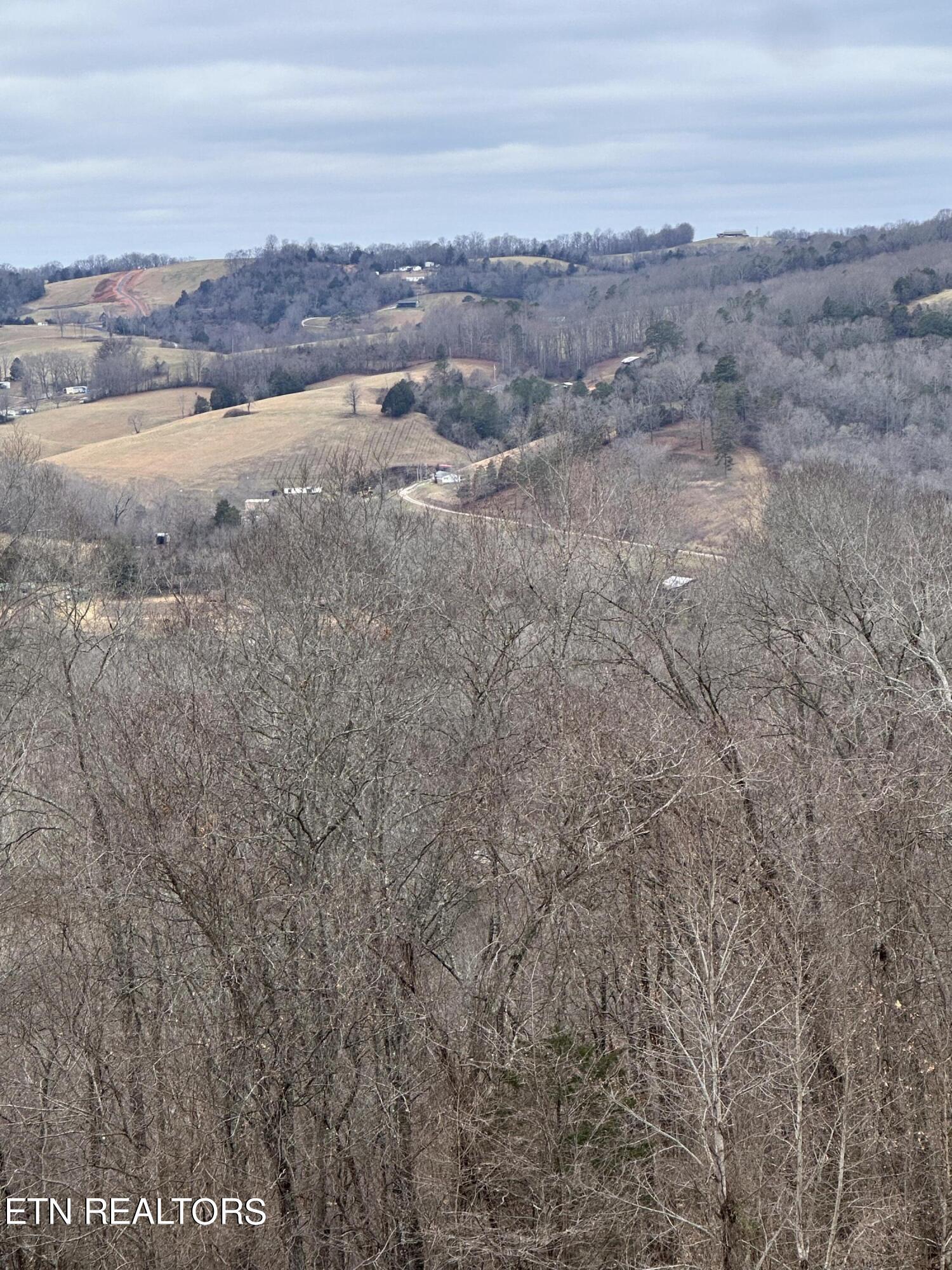 L-265 Marble Point Way, New Tazewell, TN - Norris Lake Real Estate - Image# 10