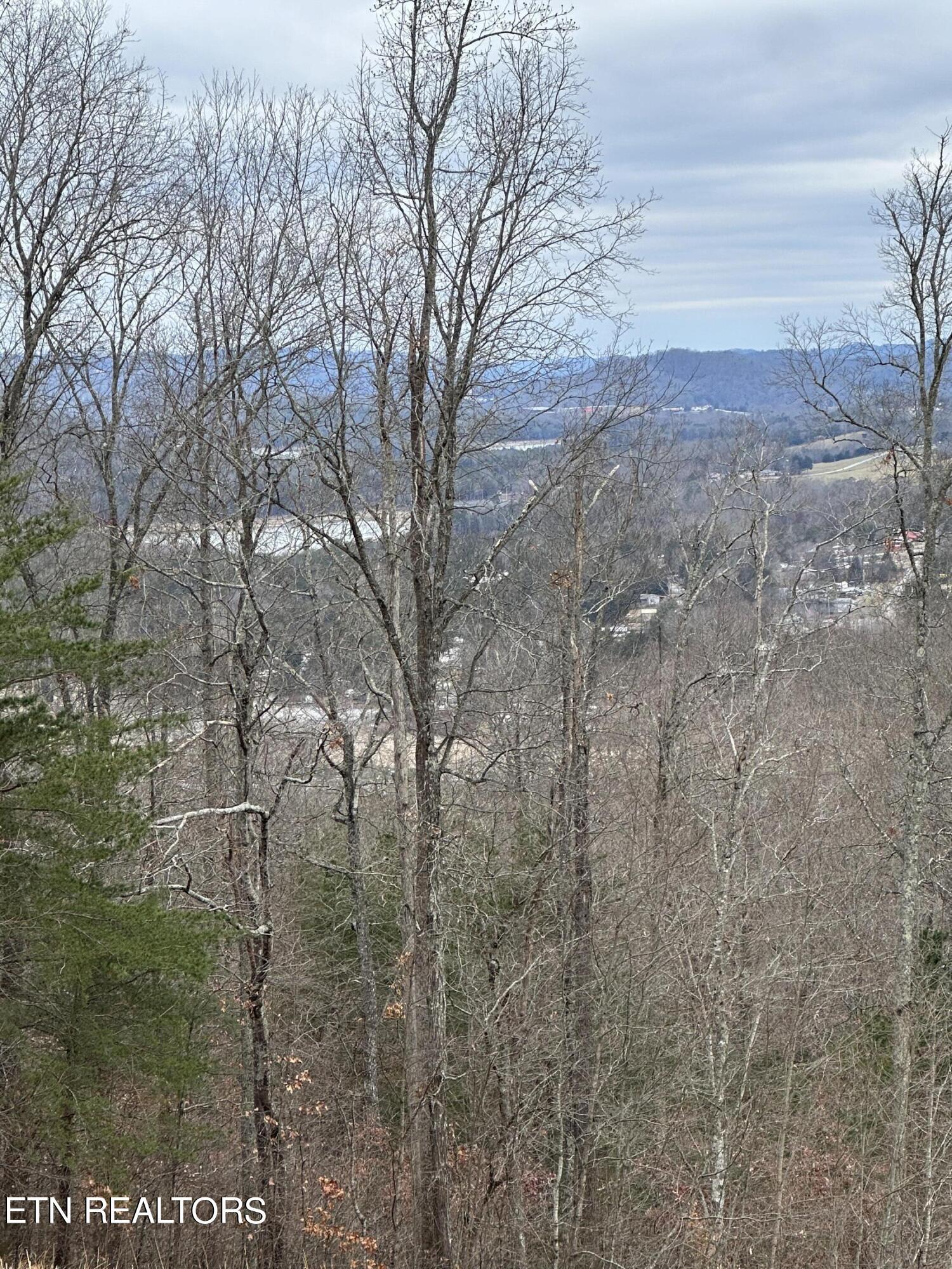 L-265 Marble Point Way, New Tazewell, TN - Norris Lake Real Estate - Image# 11