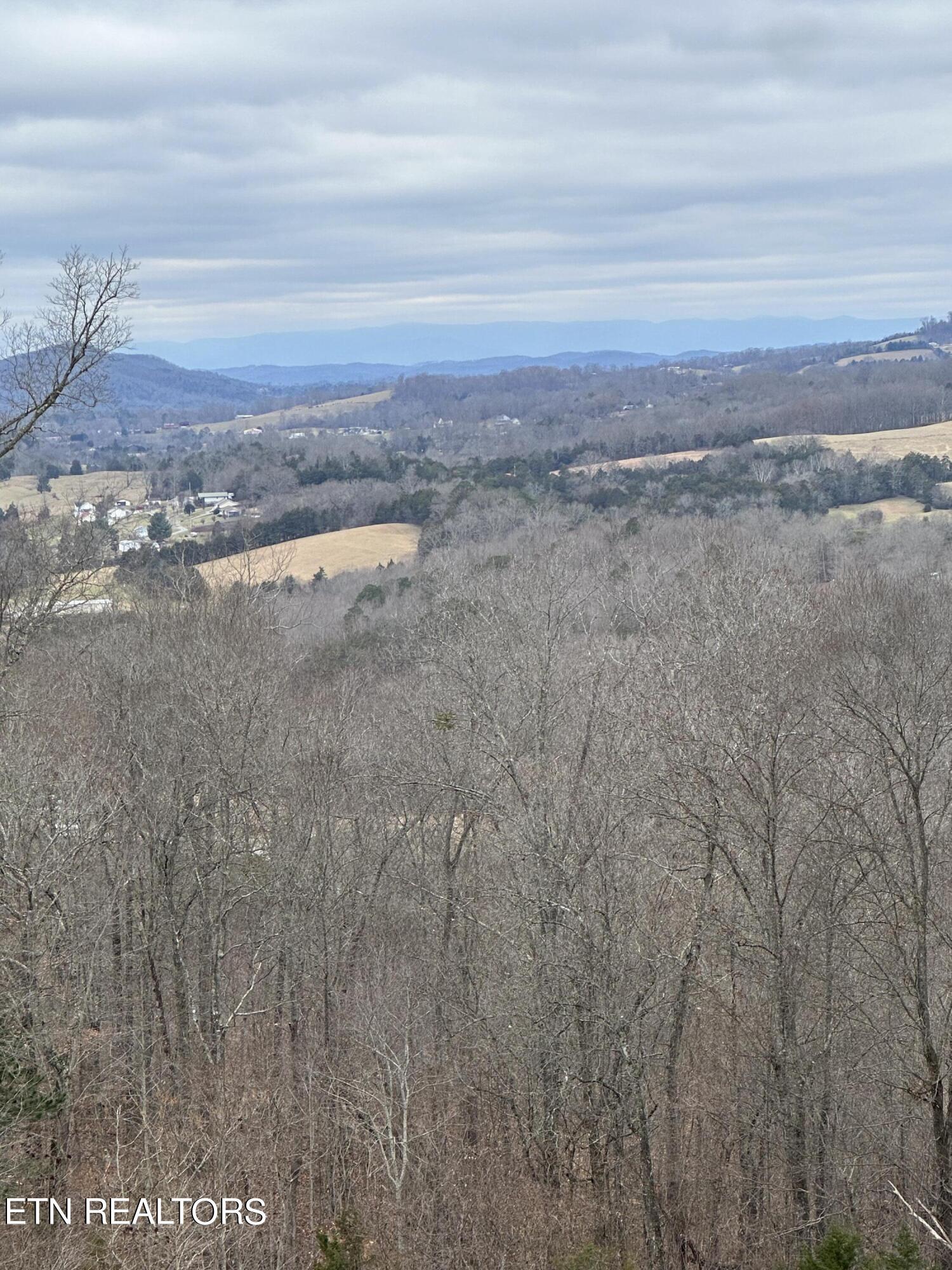 L-265 Marble Point Way, New Tazewell, TN - Norris Lake Real Estate - Image# 12